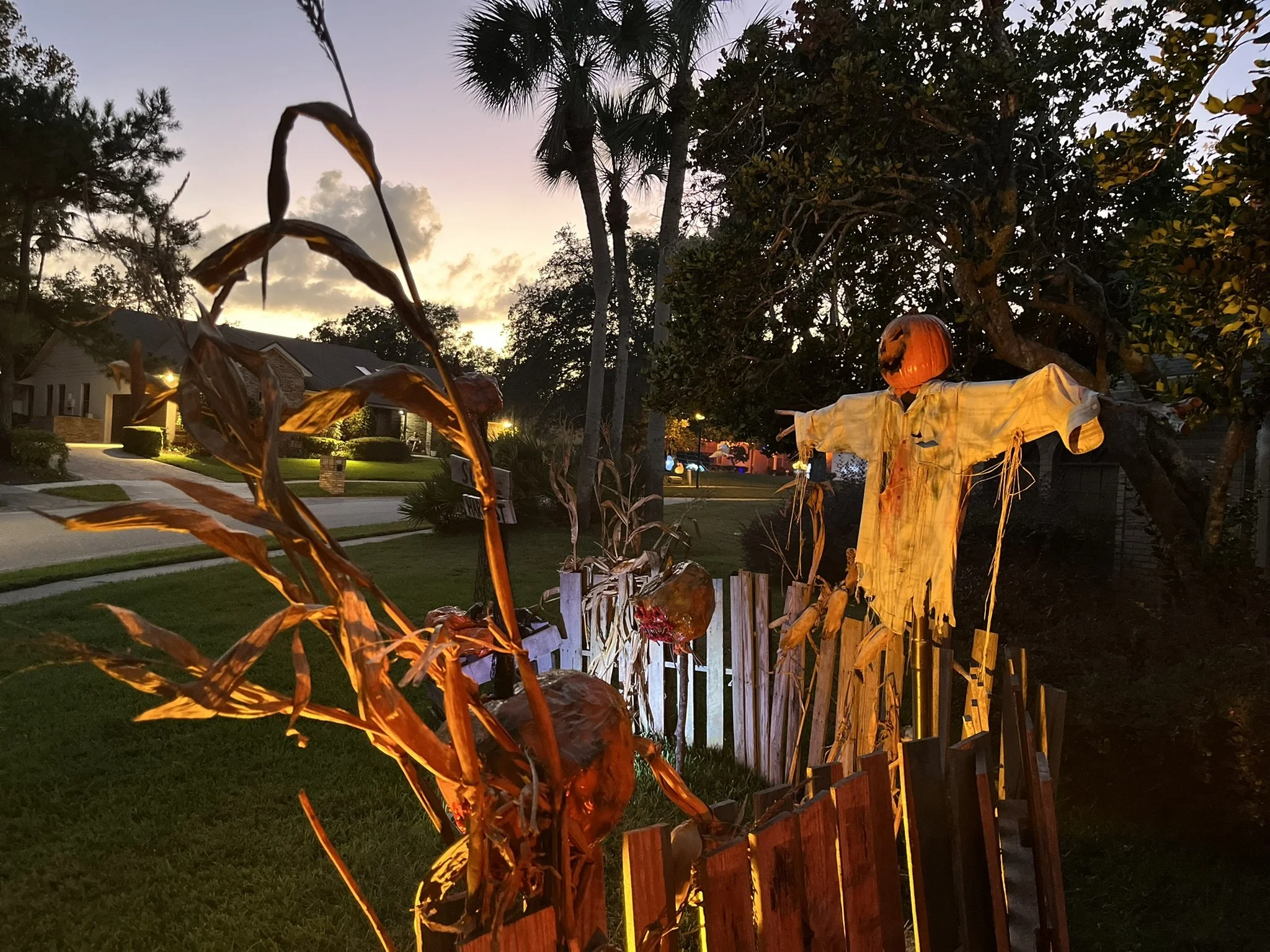 Corn Maze Facade sample.JPEG