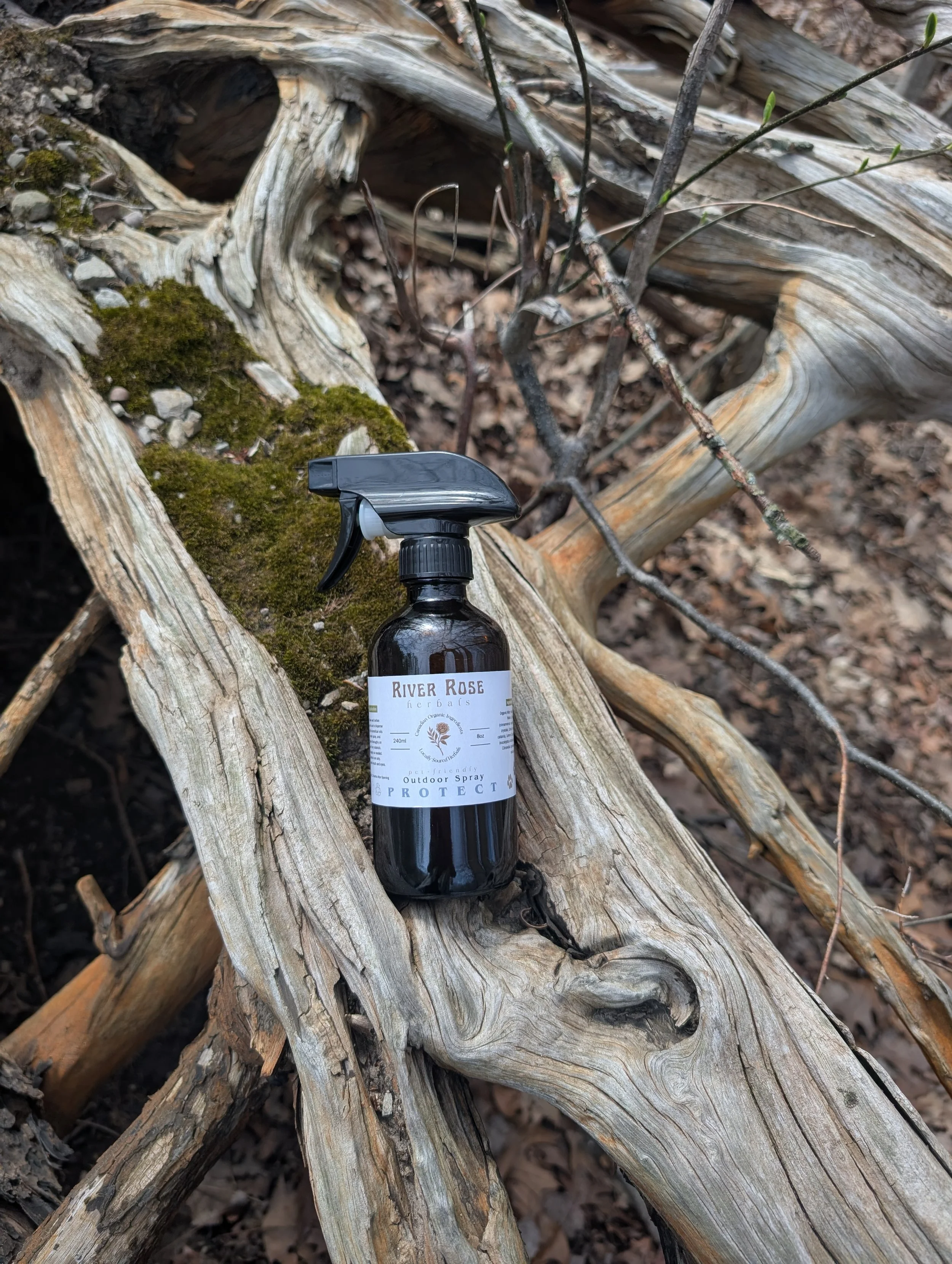 Pet Friendly Outdoor Spray