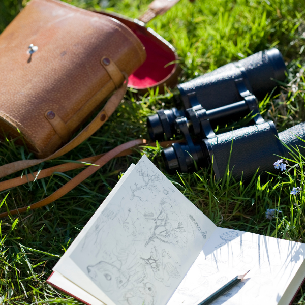 Binoculars, book, and flowers on grass – creative exploration and inspiration from nature.
