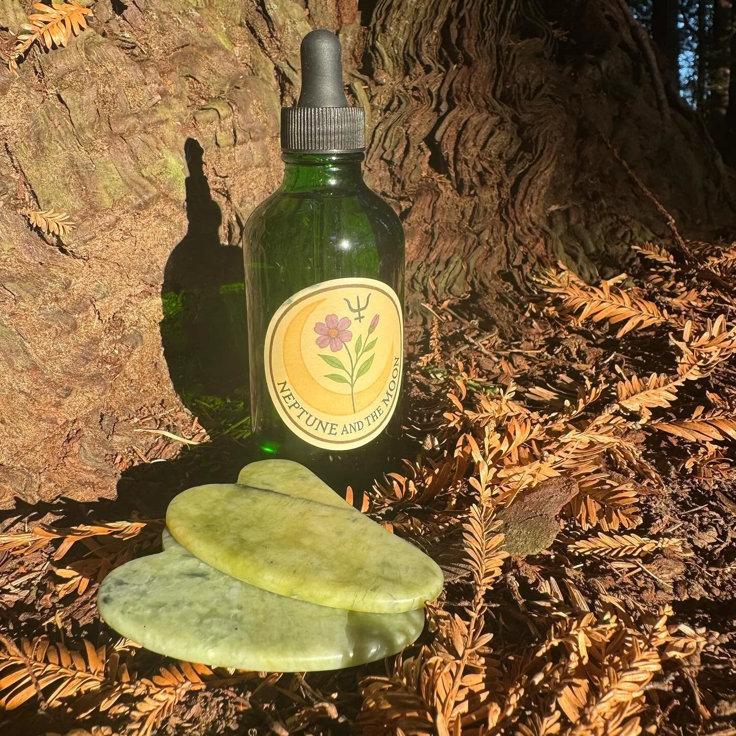 Day Oil ☀️

Your nourishing morning ritual is here!!! A deeply penetrating oil cleanser + daytime moisturizer in one.

✨ What&rsquo;s inside!! 
Jojoba 🍃 mimics your skin&rsquo;s own sebum, balancing and gentle

Apricot seed 🍃 high in Vitamin E, pro