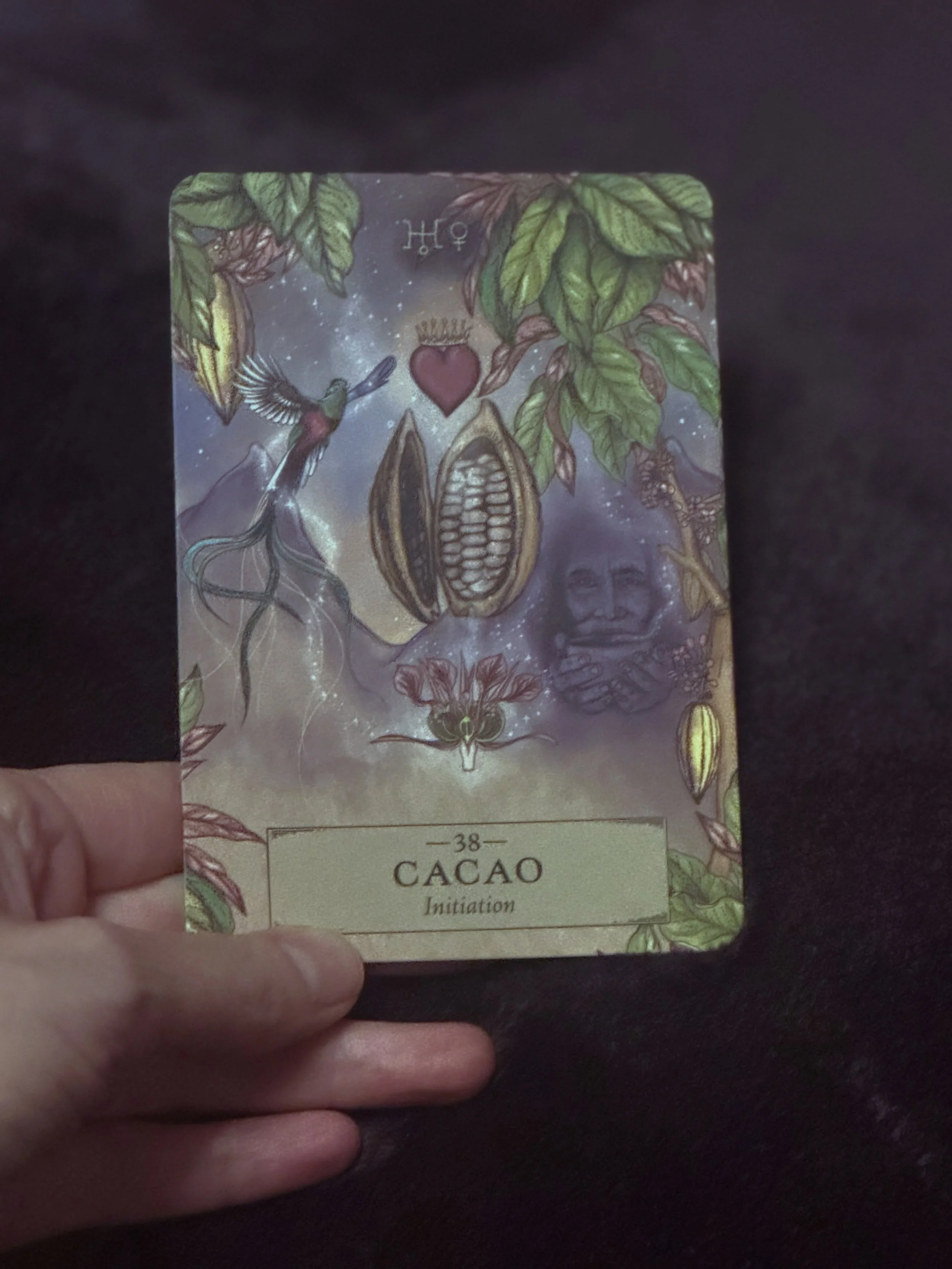 What initiated you into going inward? What led you to seek healing and deeper meaning? Life hurts, sometimes so much we think we won&rsquo;t see the other side. But we do, and the pain in life is often our initiation to finding the depths and beauty 