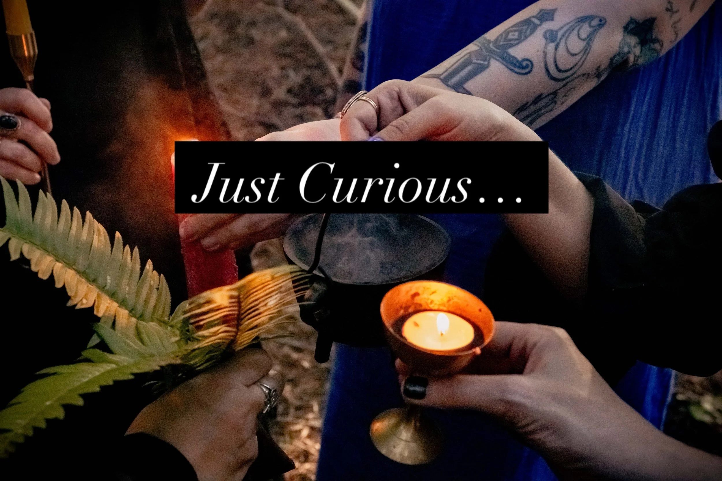 With Scorpio Season around the corner&hellip; it&rsquo;s time to go even deeper into our depths. 🖤🐦&zwj;⬛ Need help connecting to your intuition? Book a reading. Tarot is a mirror and reveals your own inner knowing 🔮
