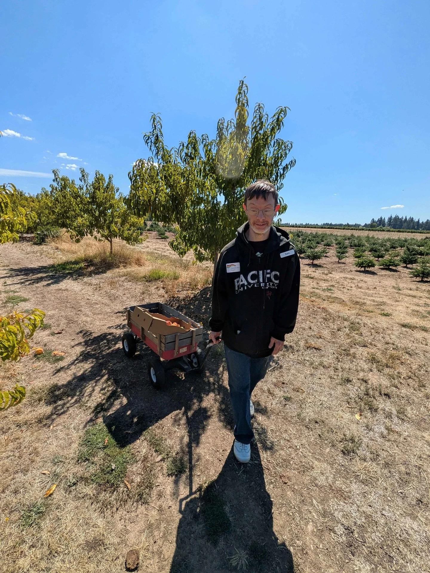 🍑🍐🍎 Picking peaches, pears, and apples&mdash;what a sweet way to spend the day! We had a great day  exploring the orchard, filling baskets with fresh fruit, and enjoying time together in the sunshine.
