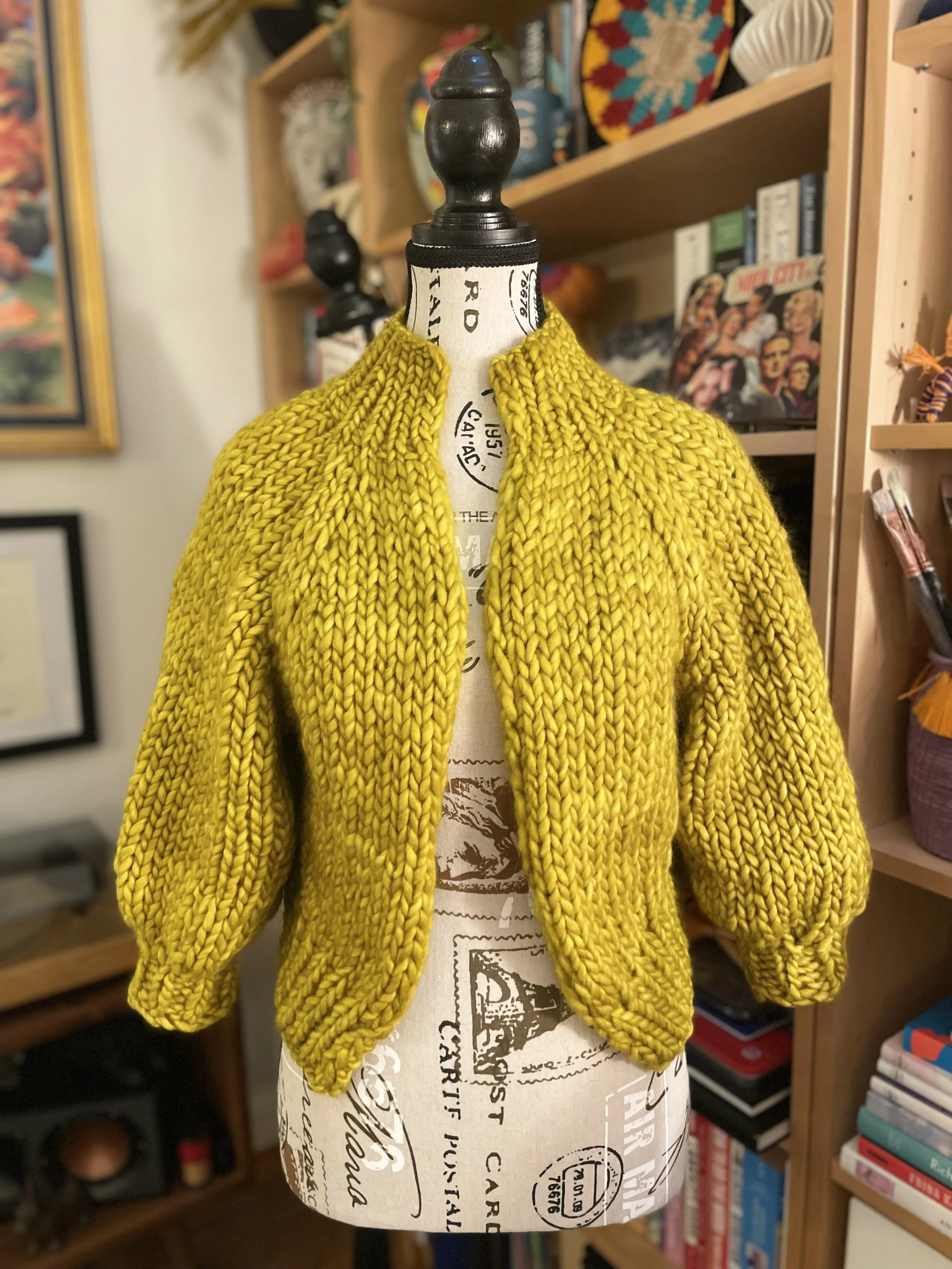 Knit a Cardigan (4-class series)