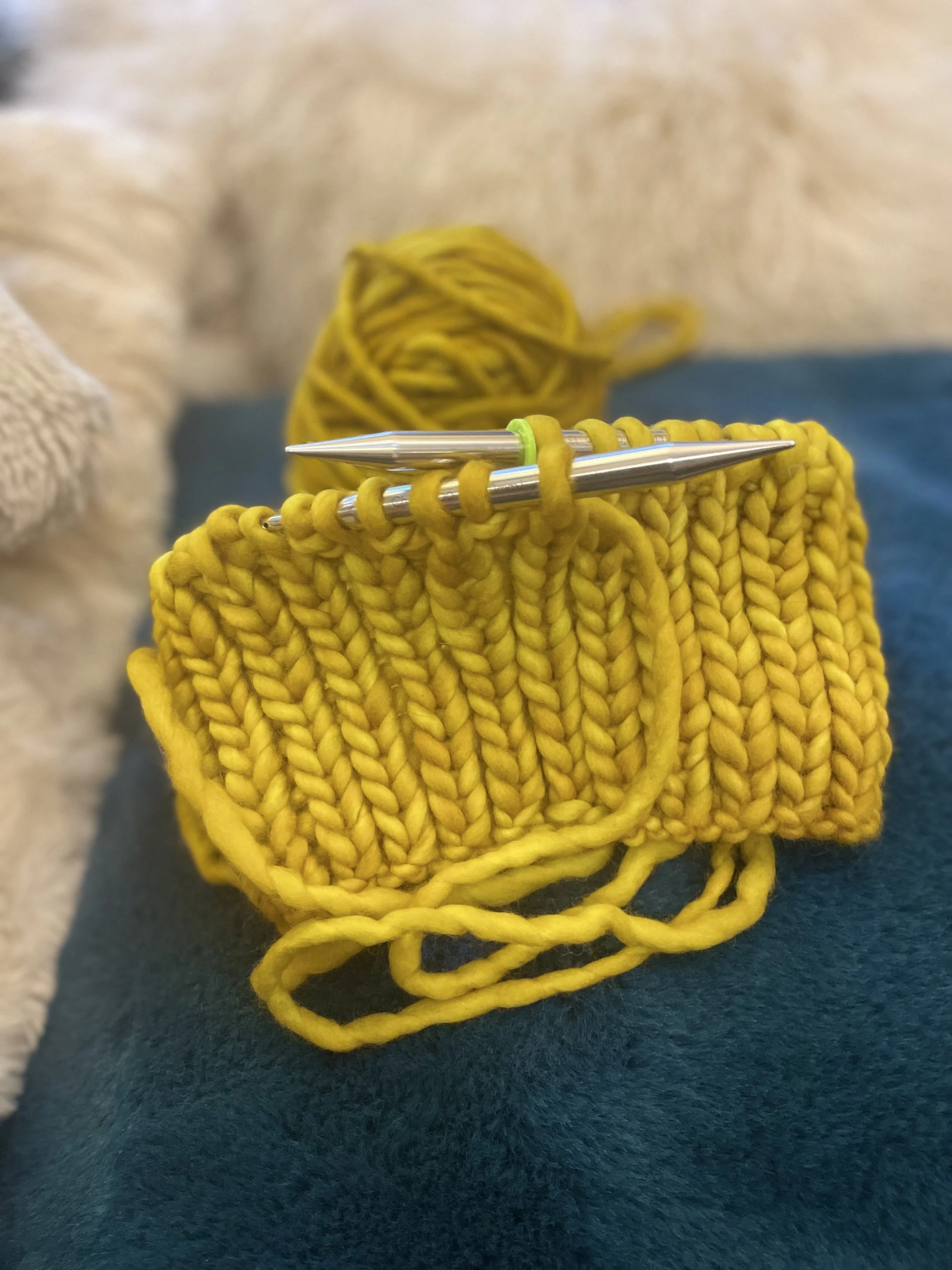 Intro to Knitting (May)