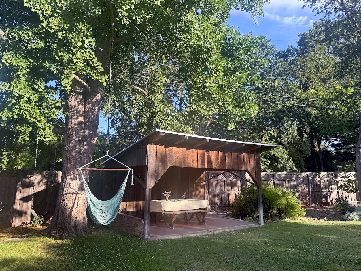 Hammock and Patio
