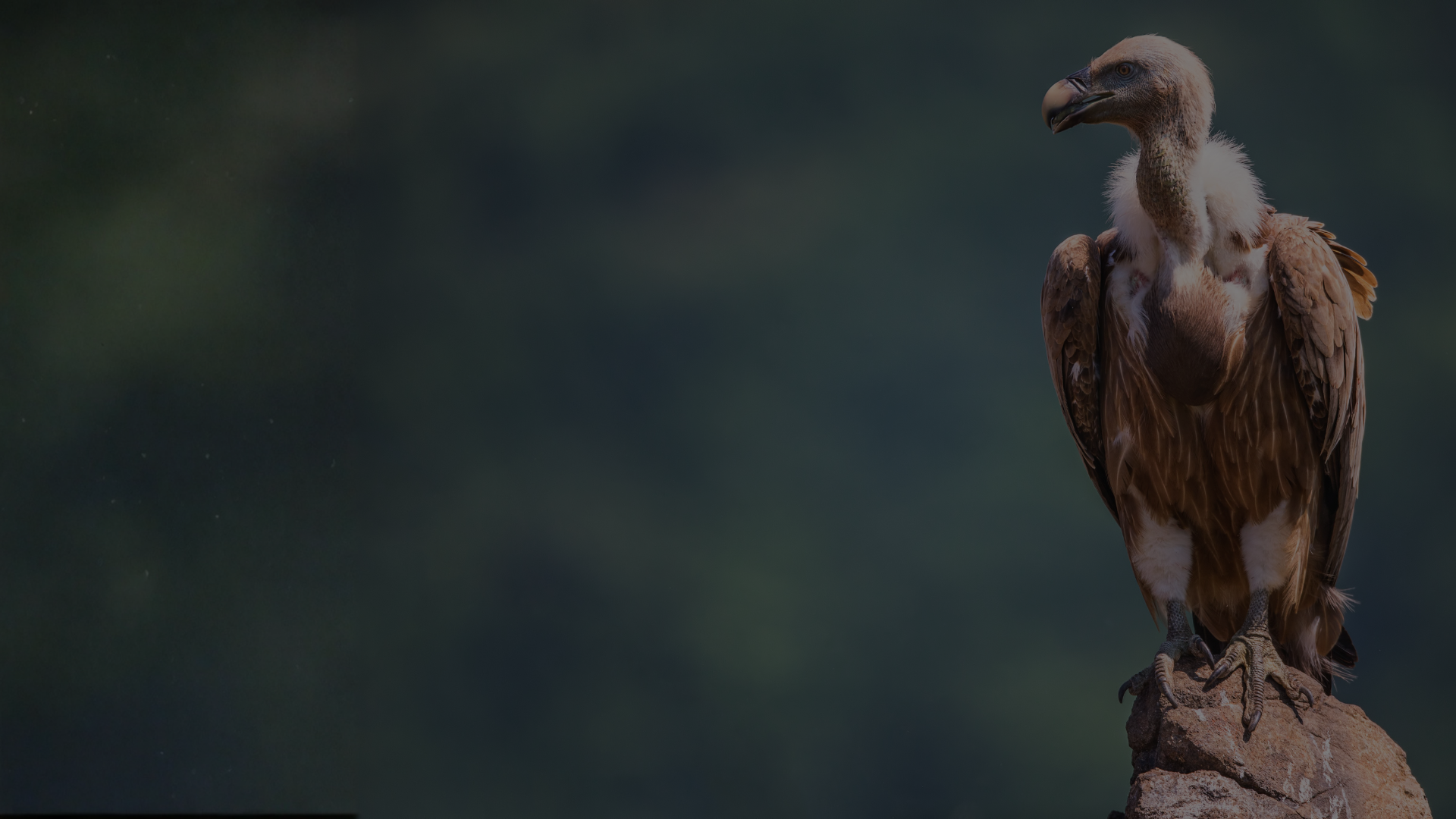 3 ATTACKS MANY ARE UNDER RIGHT NOW