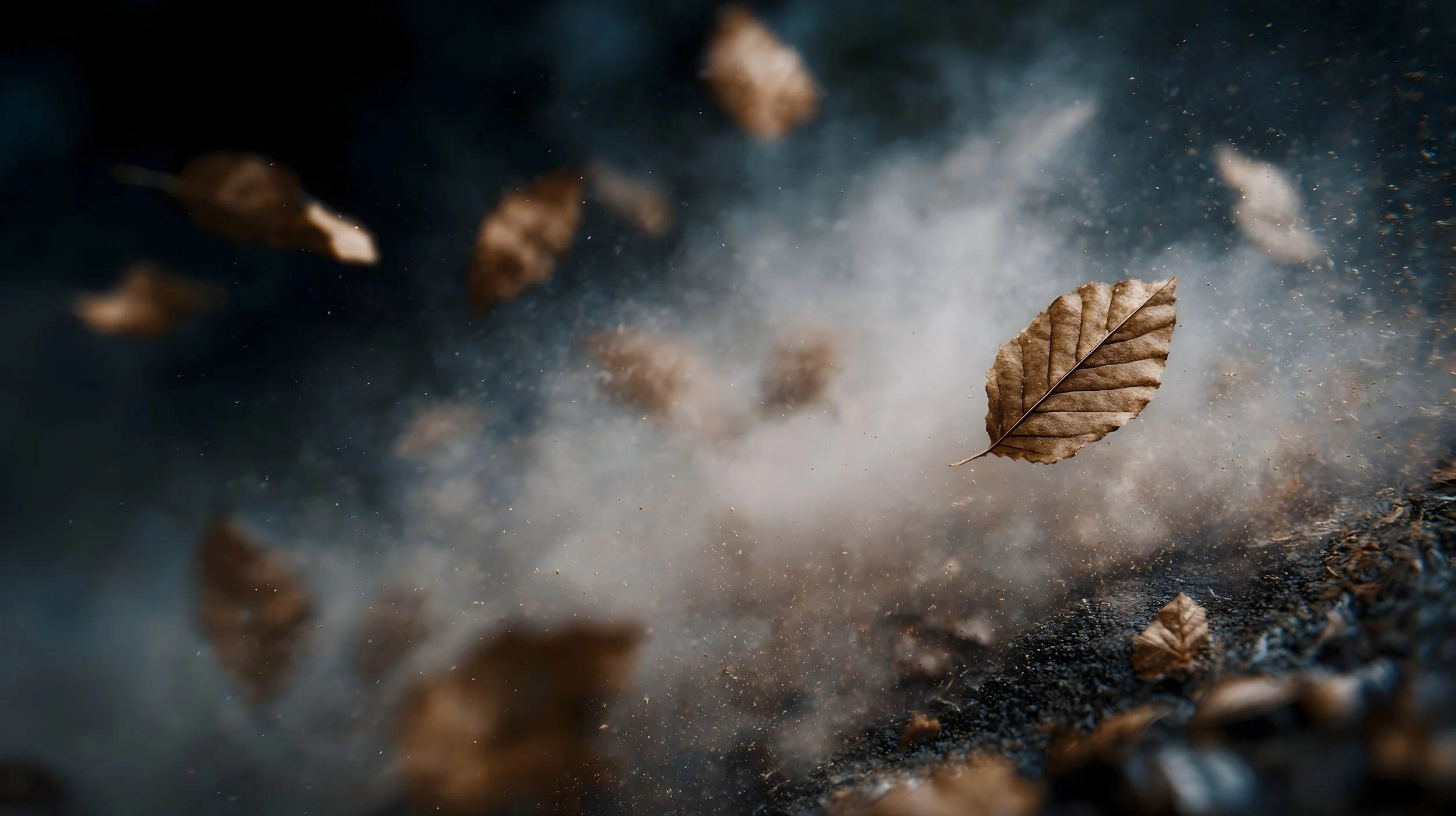 WORD FOR OCTOBER - THE WINDS OF CHANGE ARE BLOWING!