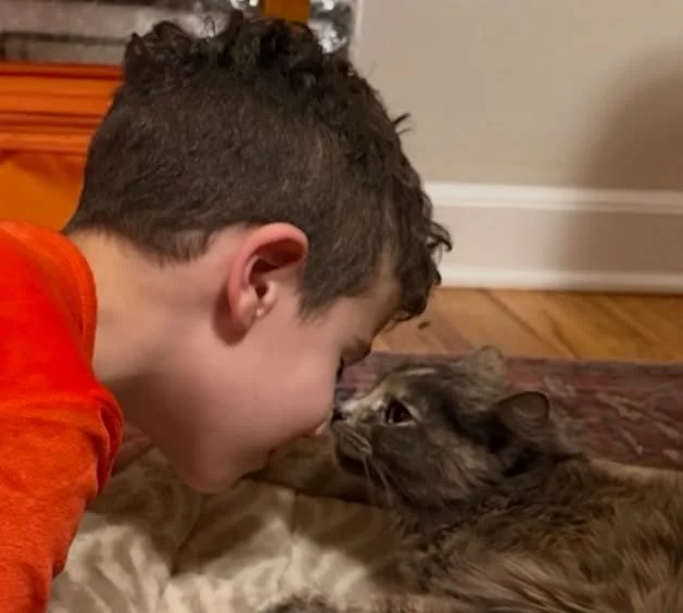 Harry has been an unabashed cat loyallist for almost 2 years now&hellip;
After 35+ plushies, countless gaby cat episodes, tons of cat stickers and 10+ weekend visits to @sthubertsanimal, we finally adopted the sweetest, calmest, most loving cat I&rsq