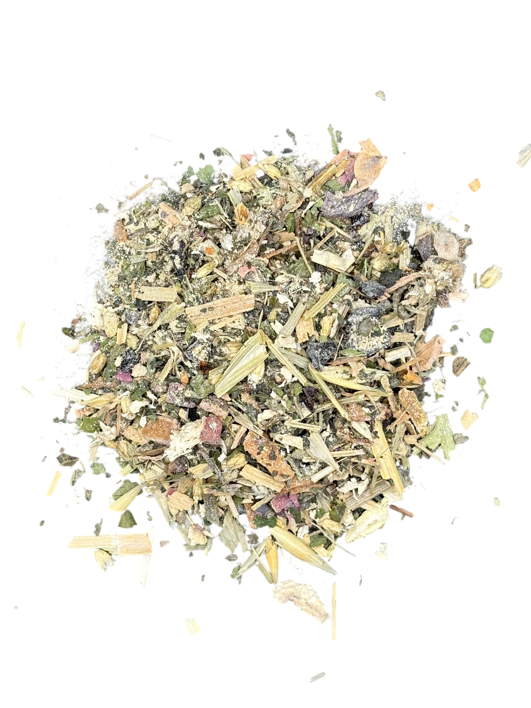 Sailor Guardian (Steady Cycle)