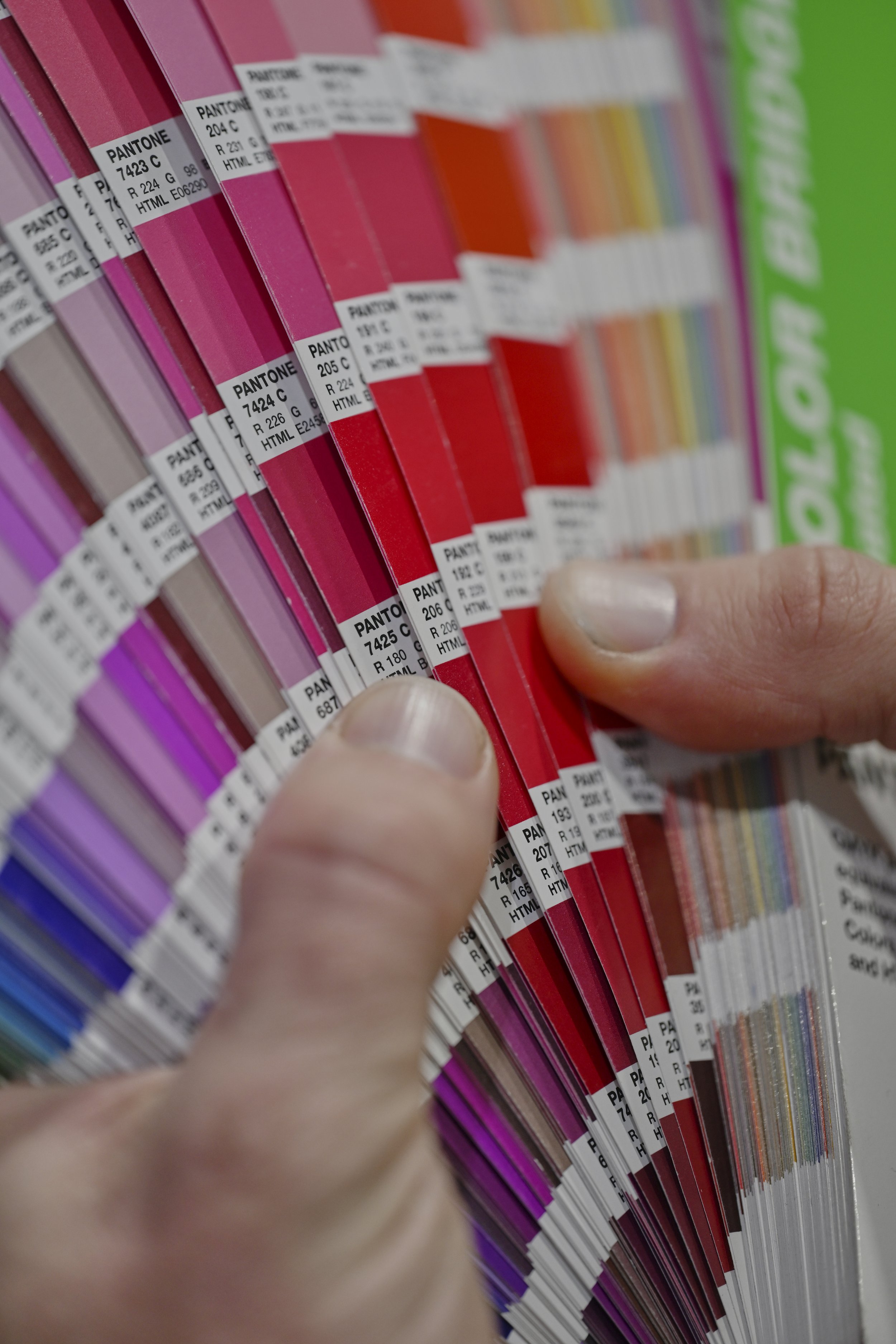 Close-up of a person's hand holding color swatch samples for choosing paint colors, with multiple color options visible, including pinks, reds, and purples.