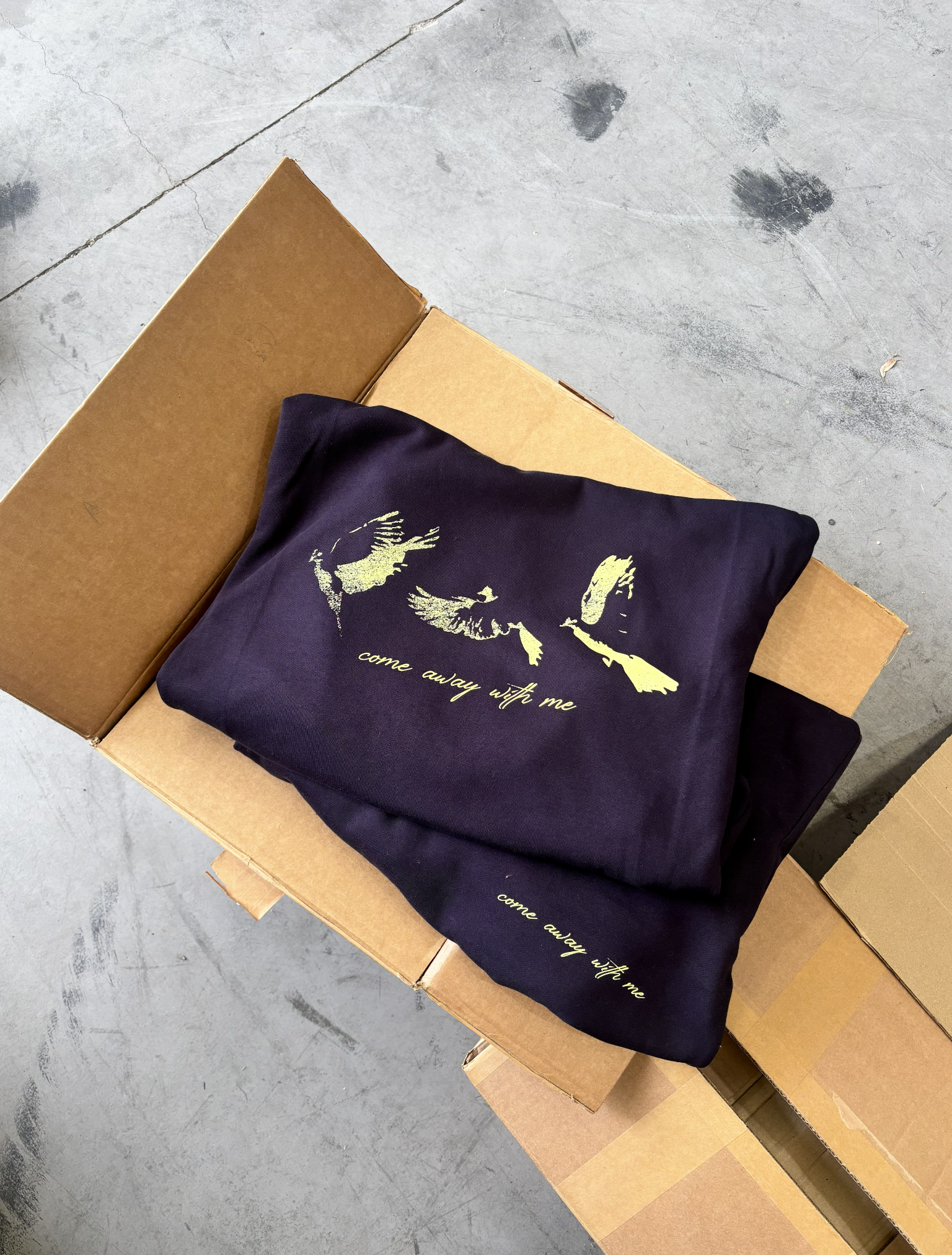 A black cloth bag with a yellow design of a bird and the phrase "come away with me" on it, resting on top of a cardboard box. The background is a gray concrete floor with some black stains and cracks.