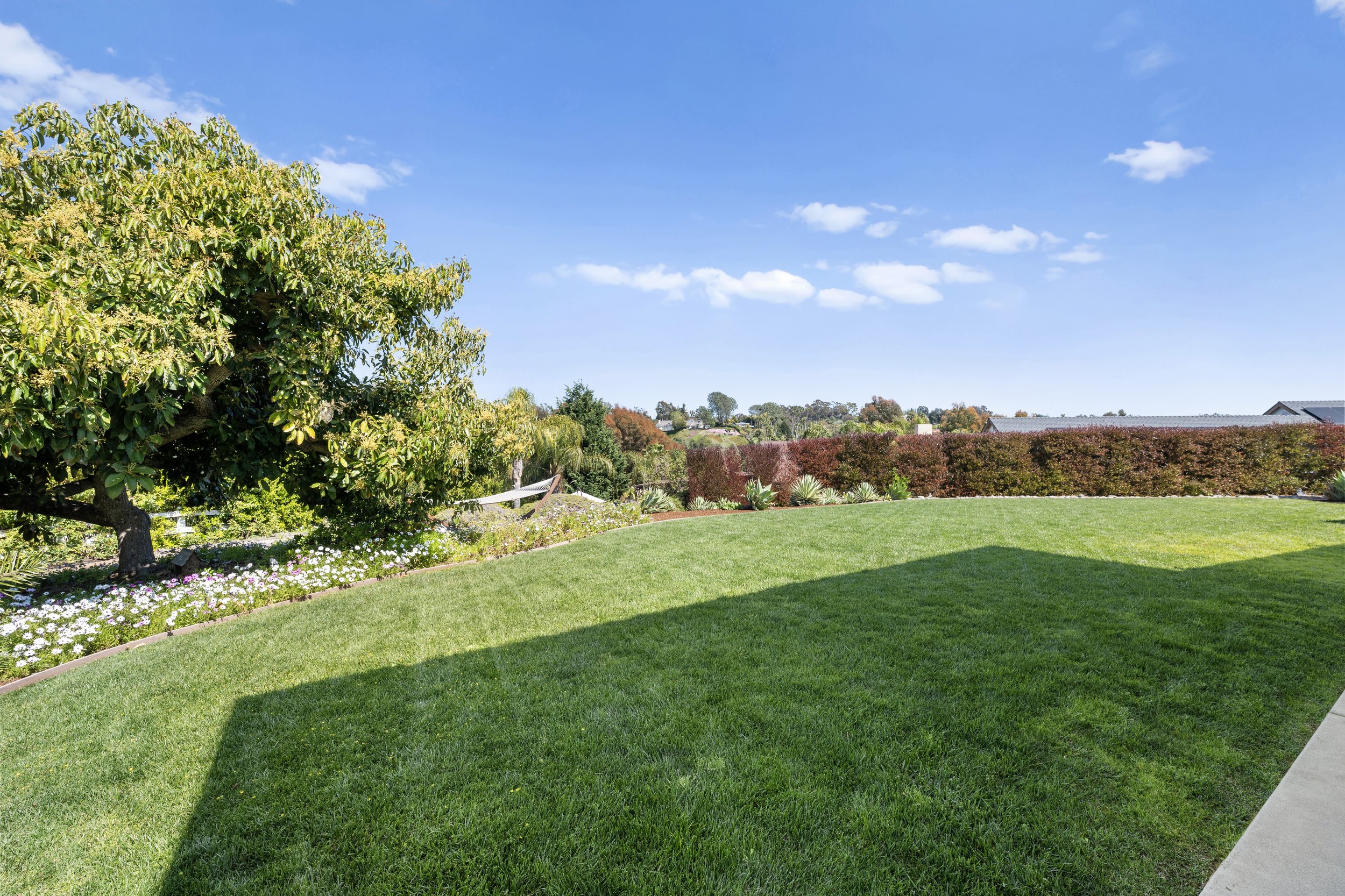 81-print-80- 355 Rosemary Ln.jpg