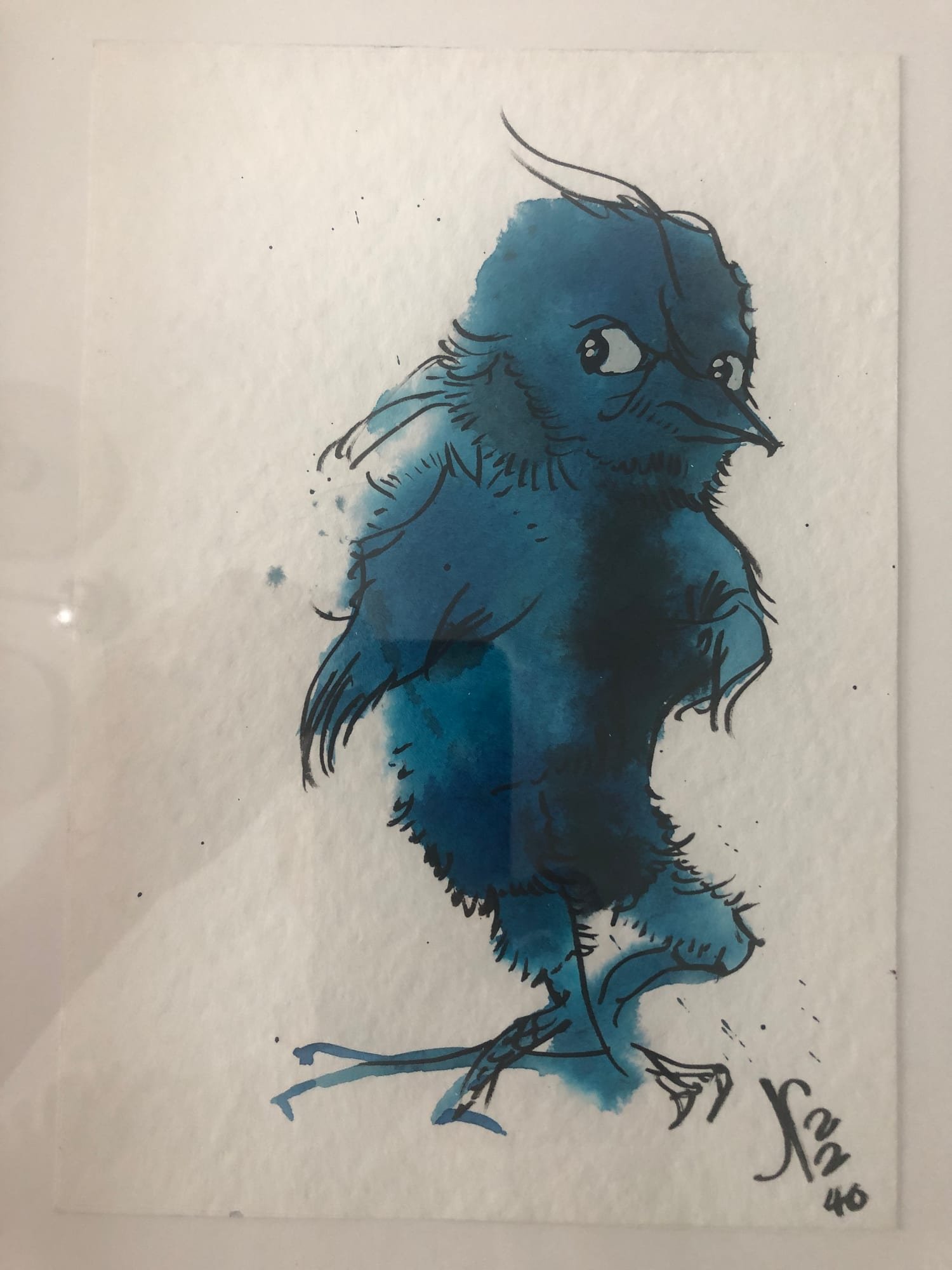 bird-blue-strutting.jpg