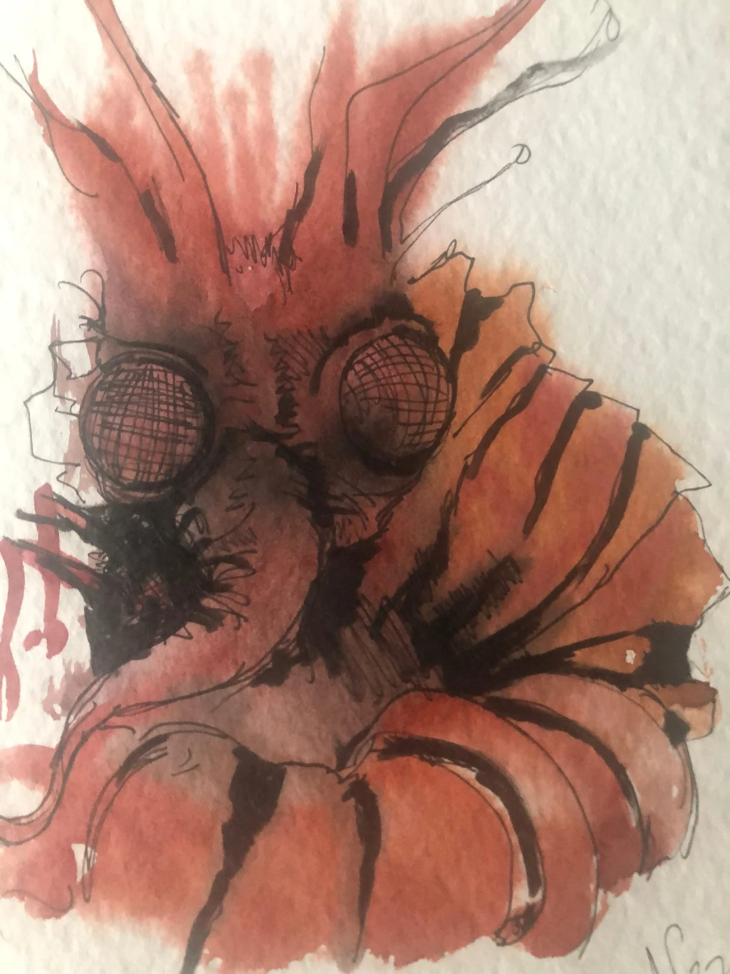 insect-rust.jpg