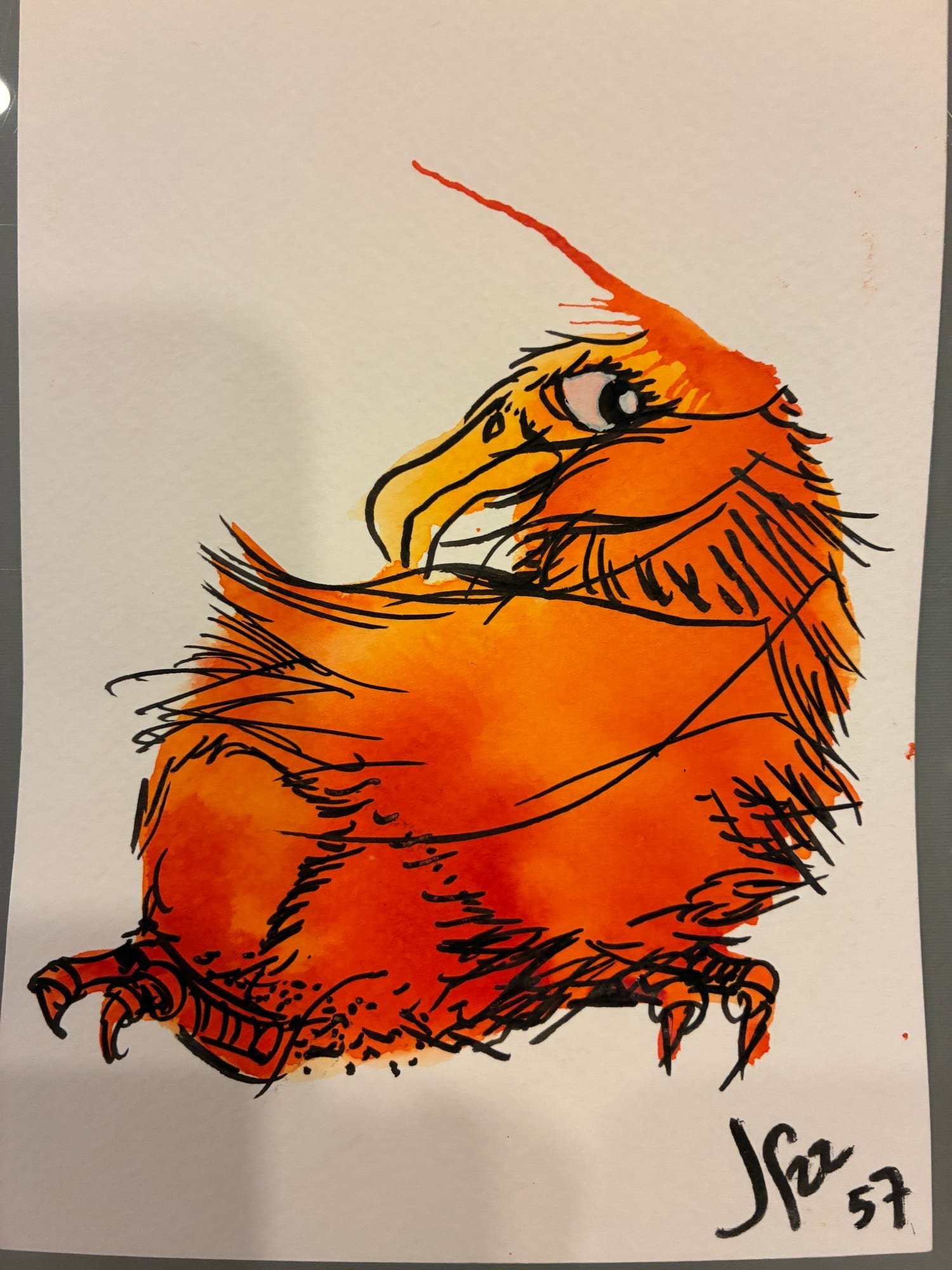 bird-orange-looking-back.jpg
