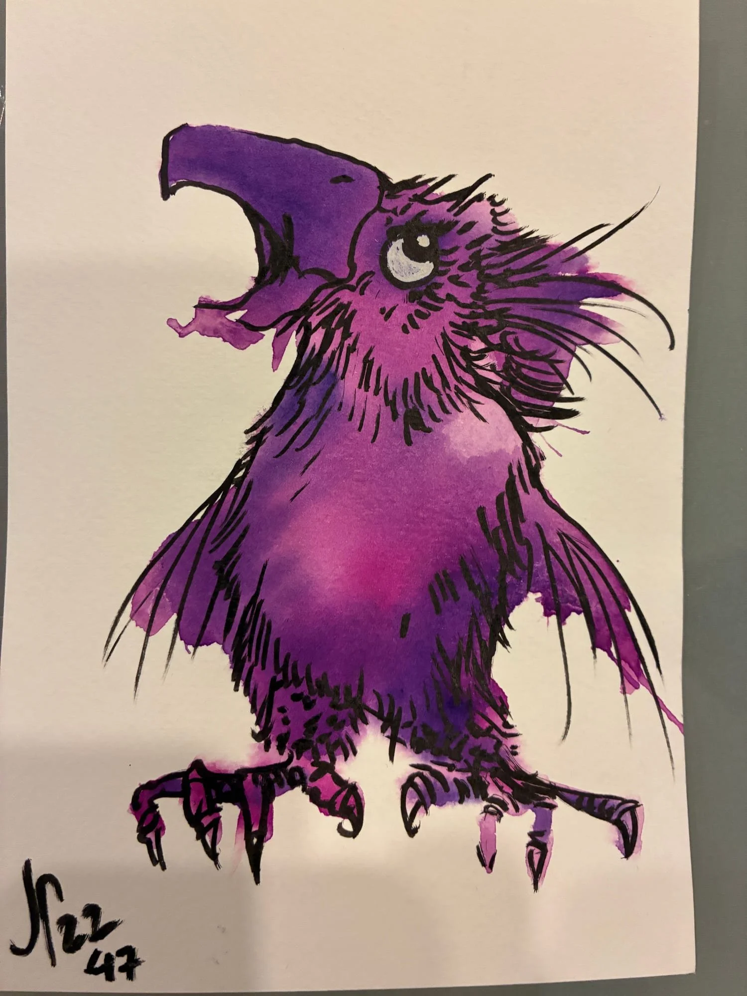 bird-purple-squawking.jpg
