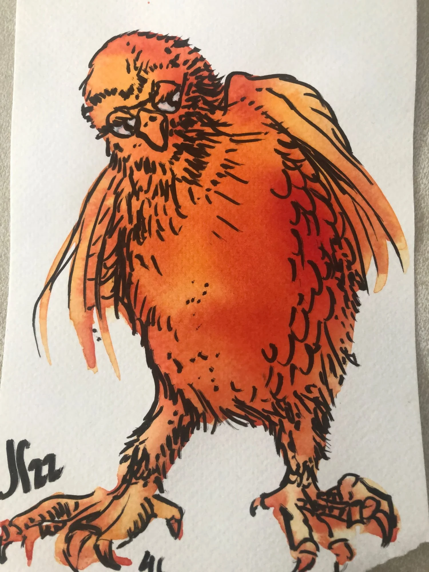 bird-orange-hen.jpg