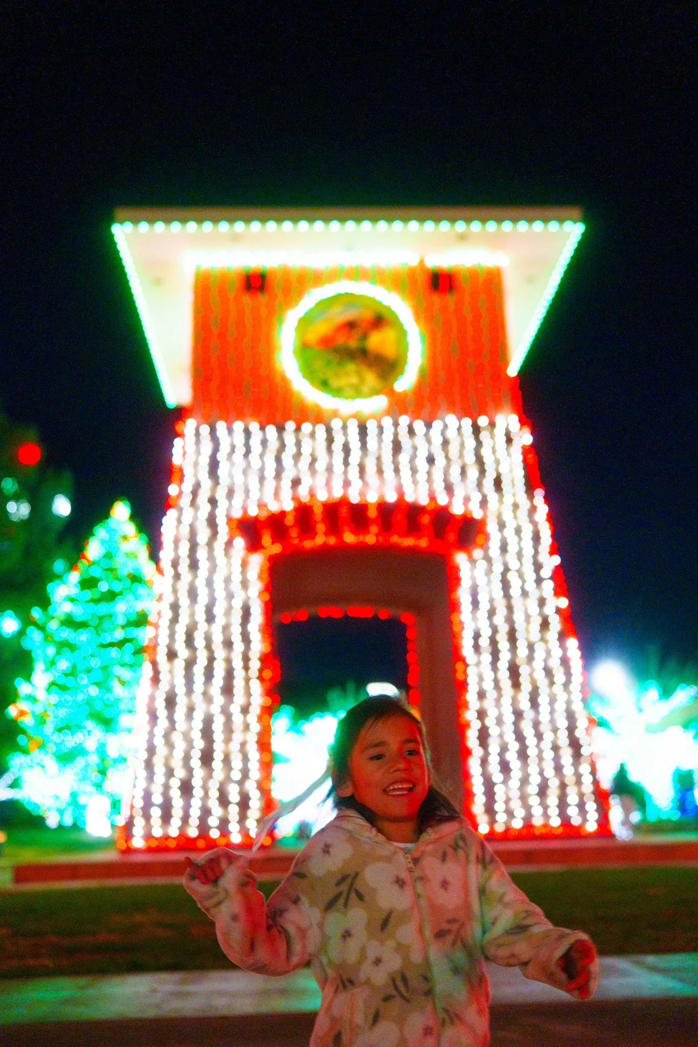 DSC02433.jpg
