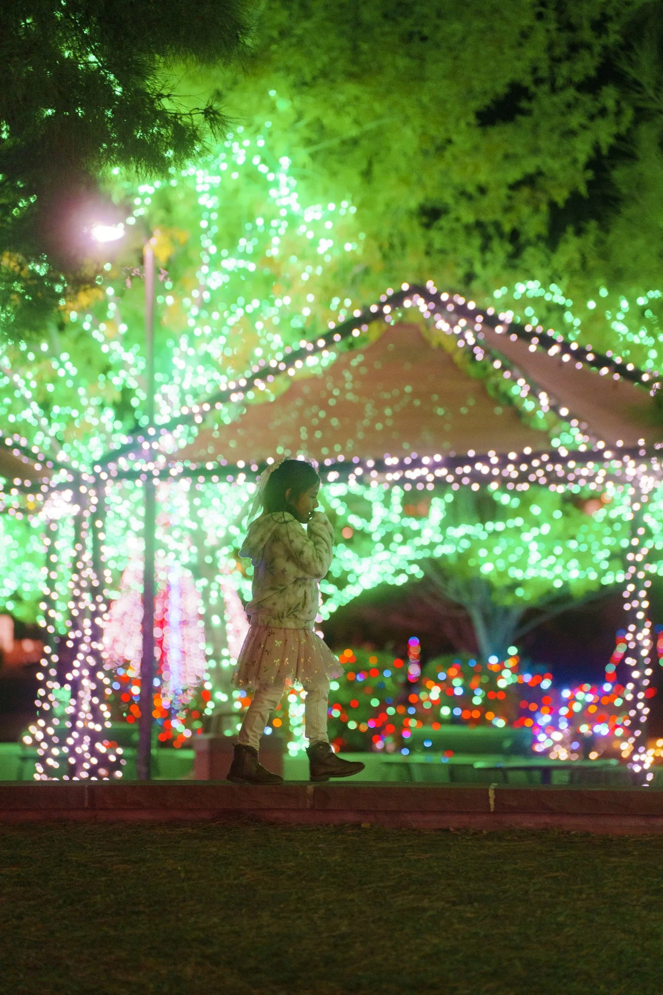 DSC02443.jpg