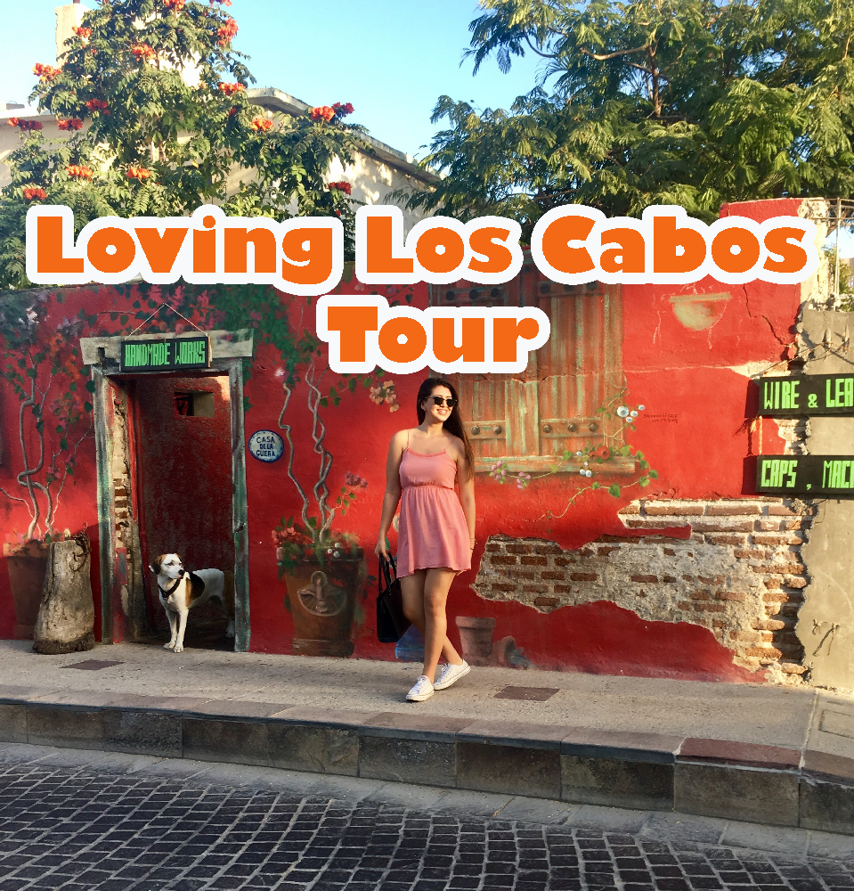 LOVING LOS CABOS (6 hours). San José del Cabo & Cabo San Lucas, including an amazing boat ride to the arch. You get to see it all!