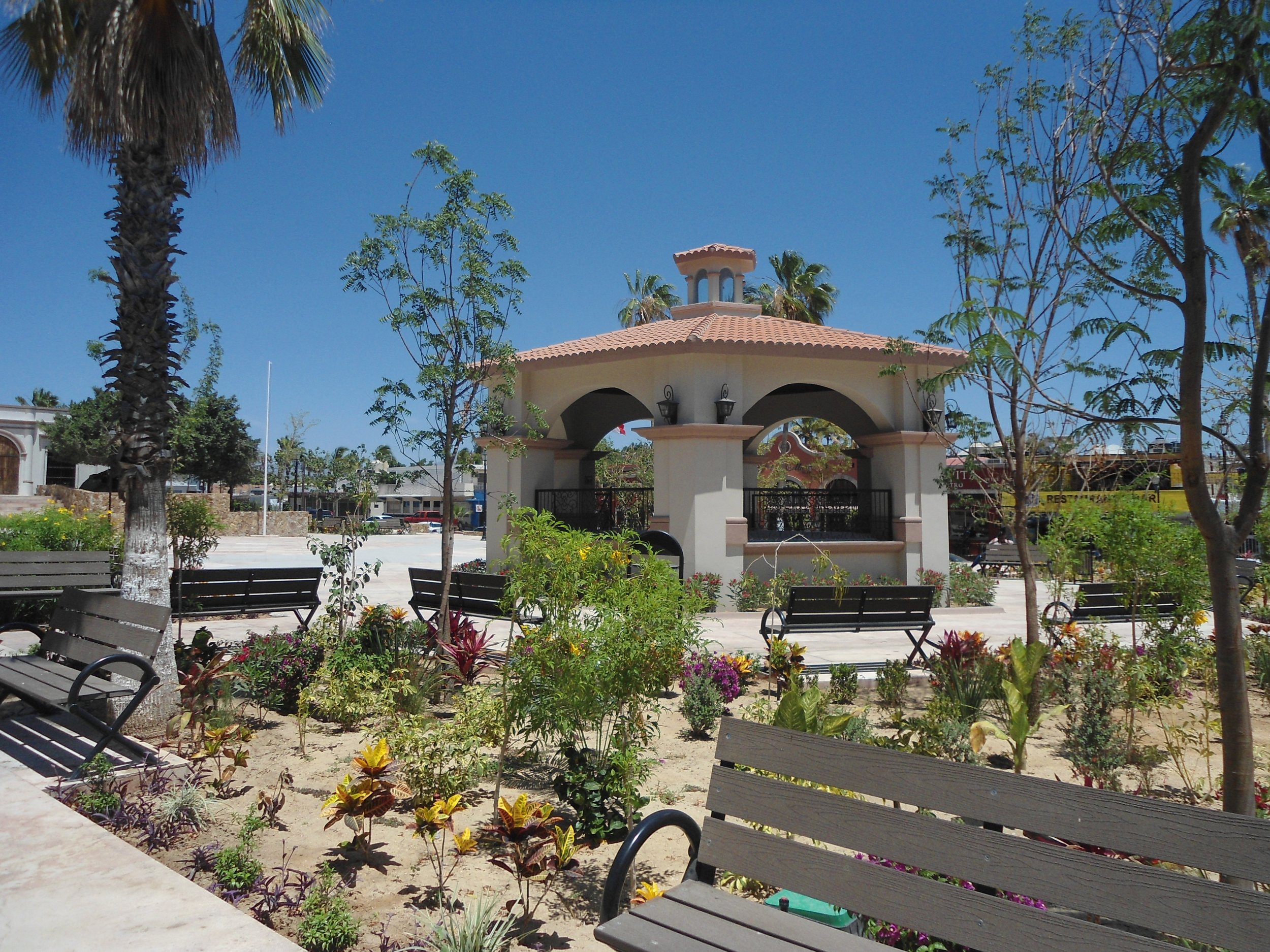 The-Town-aquare-Amelia-Wilkes-Cabo