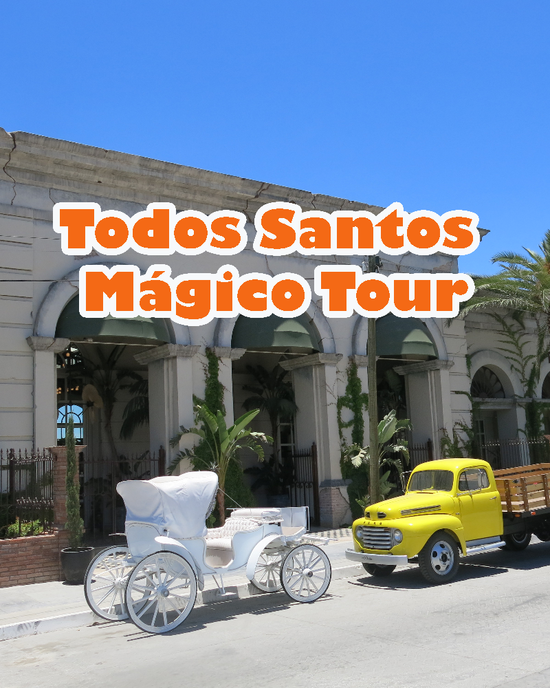 TODOS SANTOS MAGICO (6.5 hours). Trully a beautiful town where you´ll find art studios, lots of shops and good restaurants.