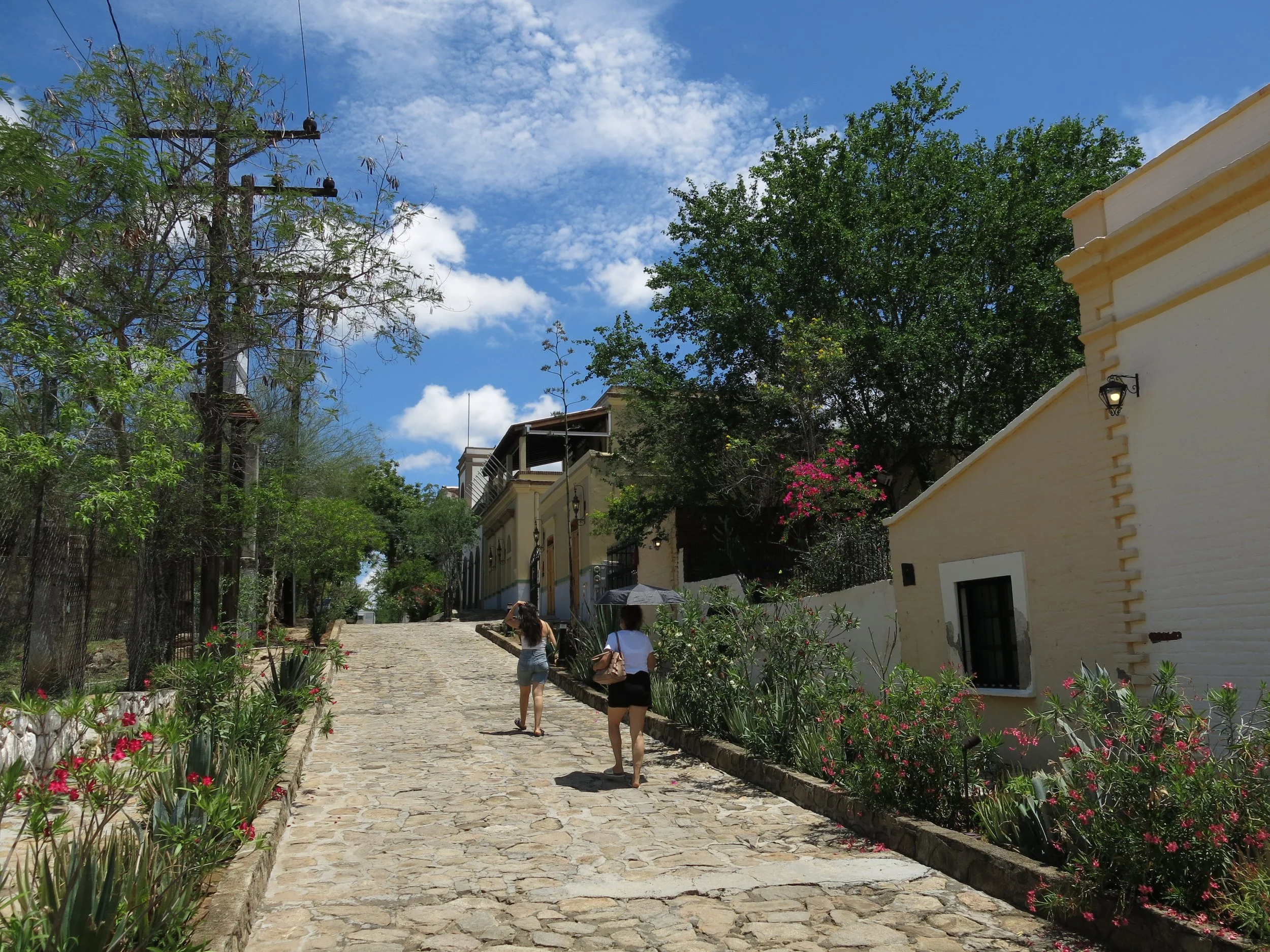Cobble-stone-streets-in-El-Triunfo-bcs.