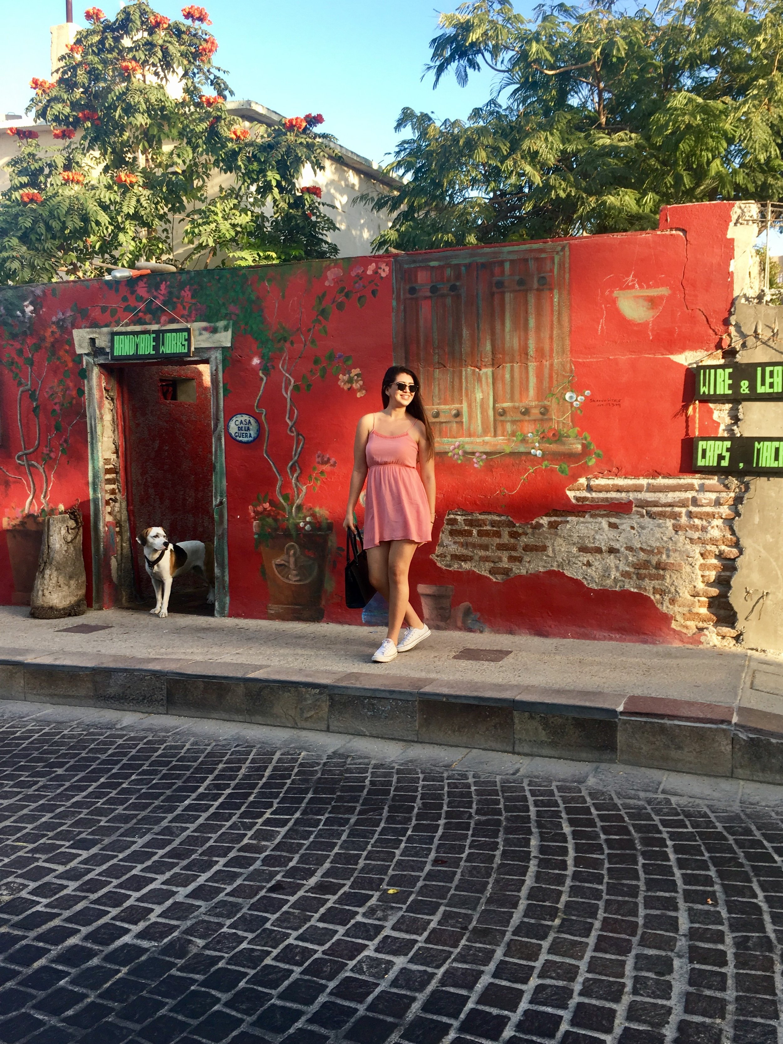 Loving Los Cabos Tour.jpg