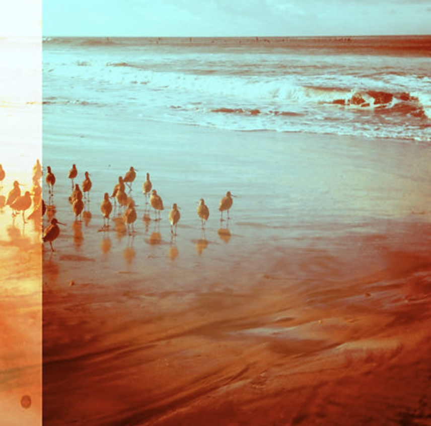 Laura Cunningham - SOLO EXHIBITION