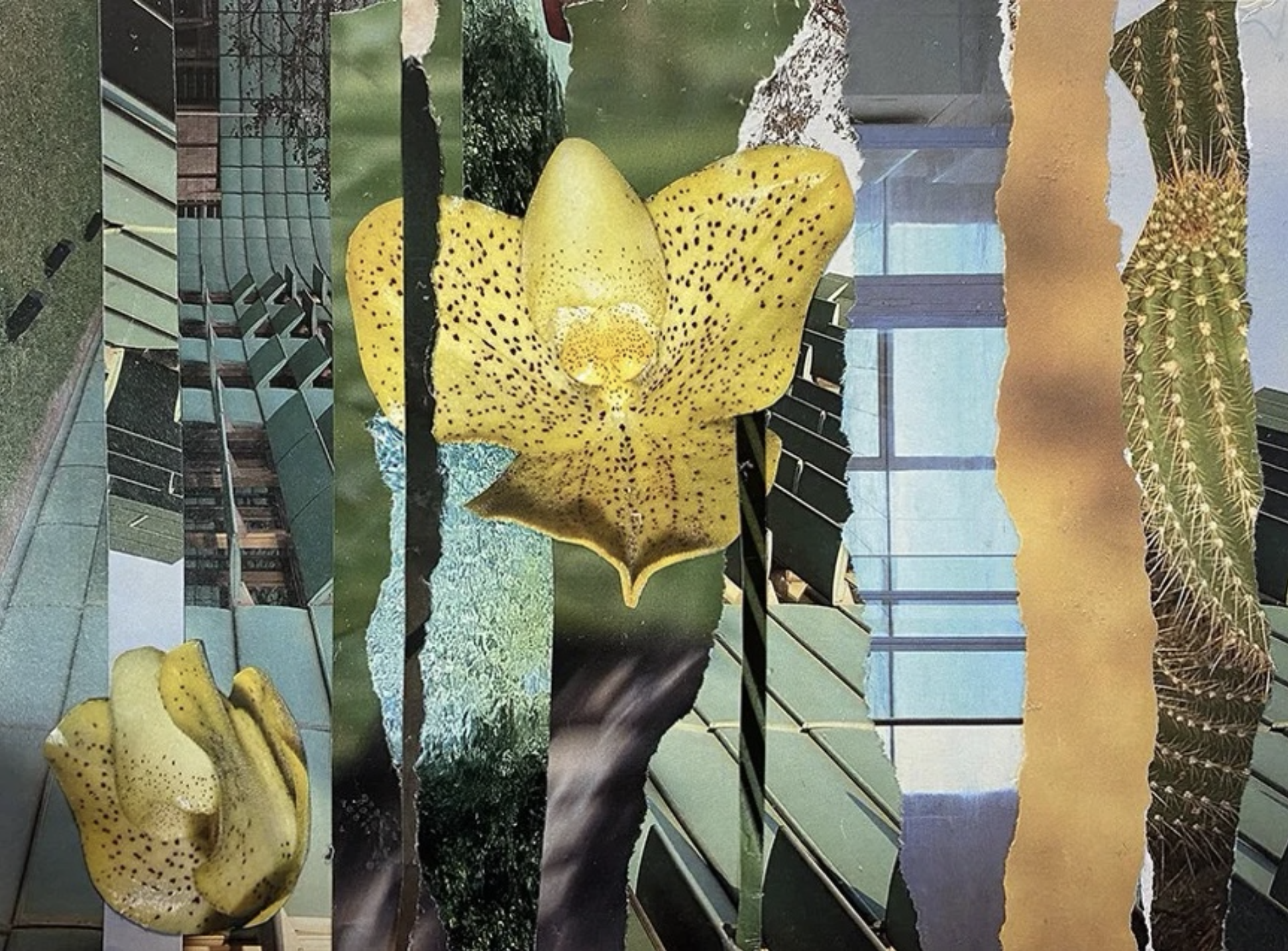 SOLO EXHIBITION Kathleen Bergen