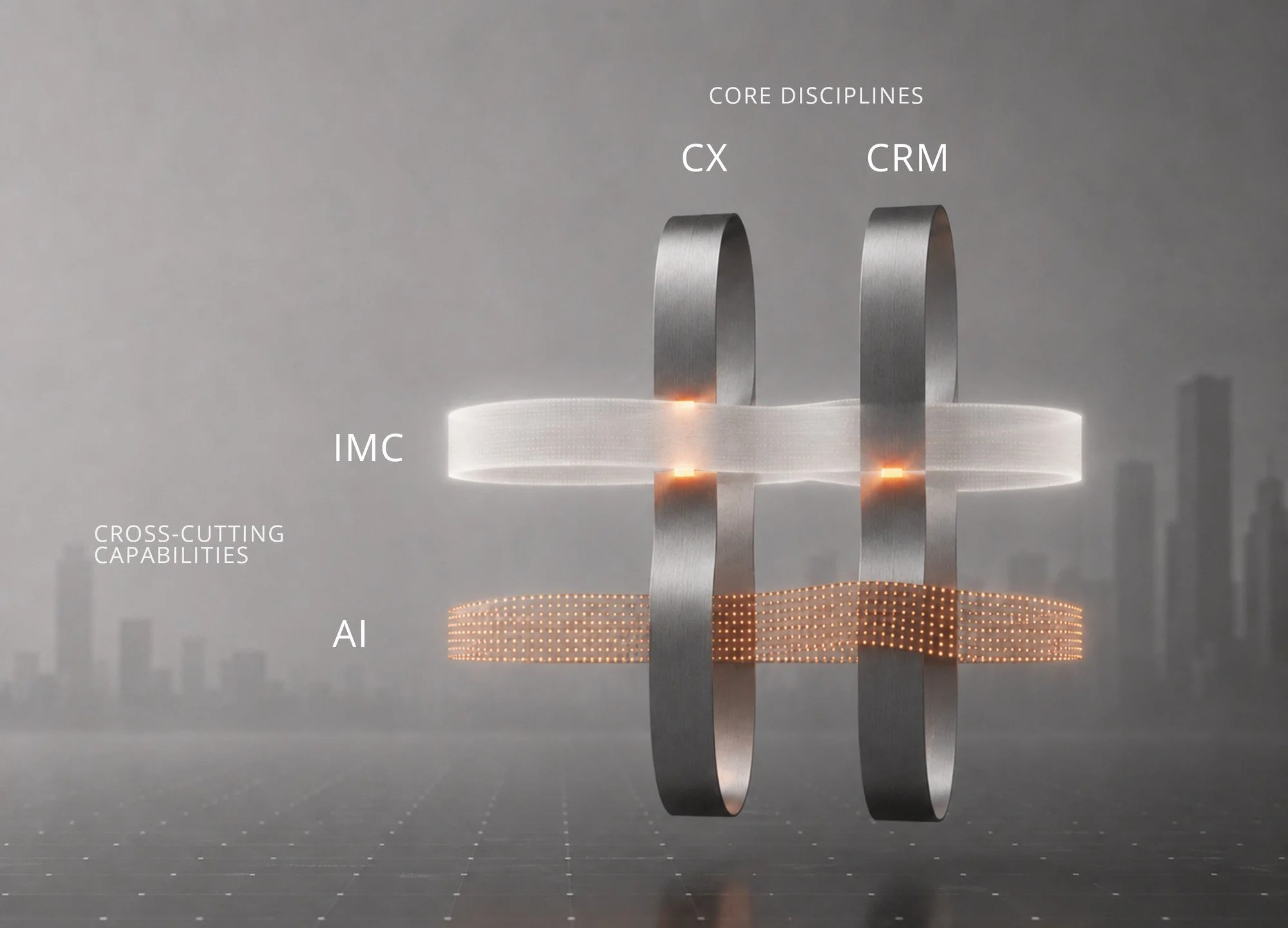 Core Disciplines and Cross-Cutting Capabilities