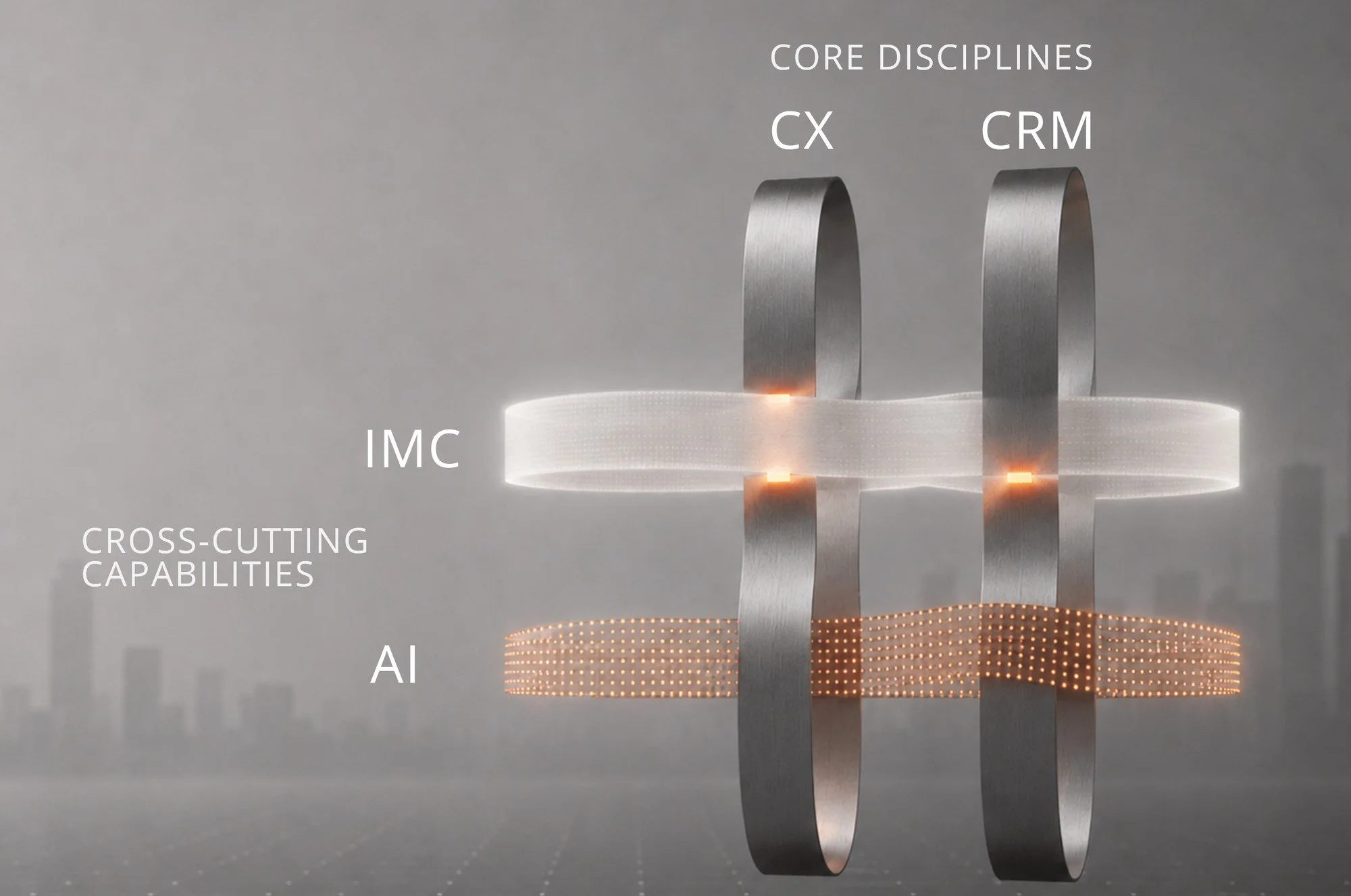 Core Disciplines and Cross-Cutting Capabilities