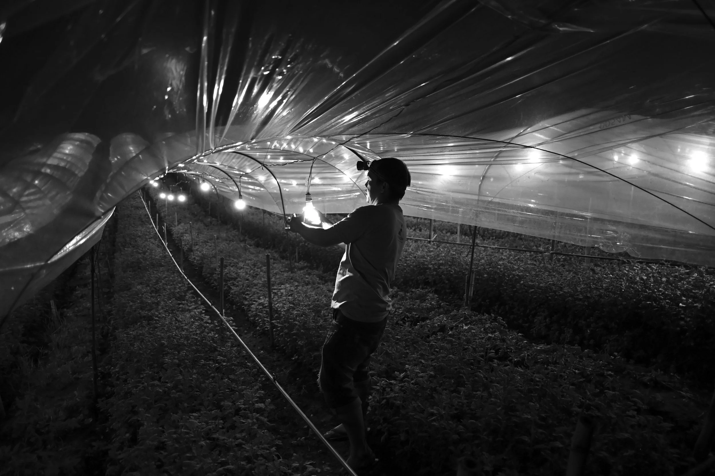 20240927_Huay Nam RinEK2_1082.jpg