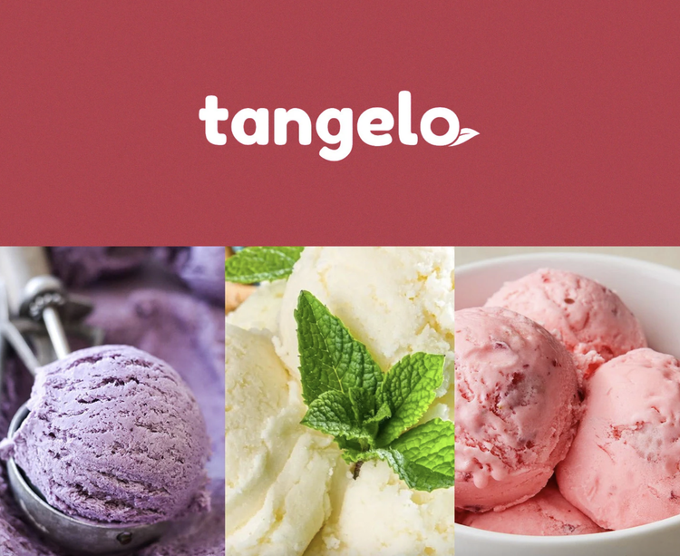 Tangelo Ice Creams brand identity and logo design by Awesome Sauce Creative