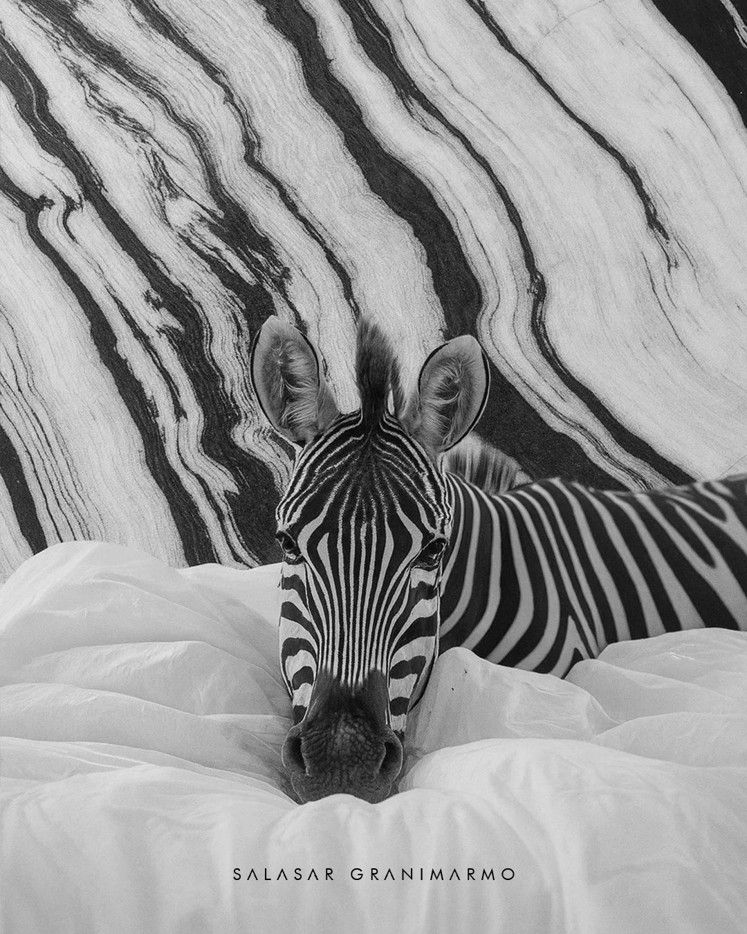 Salasar Granimarmo2.jpg