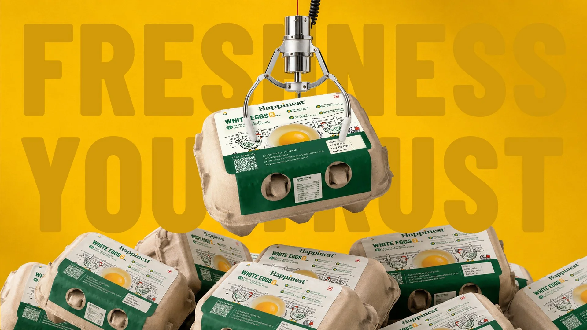 Eggs Packaging Design Project