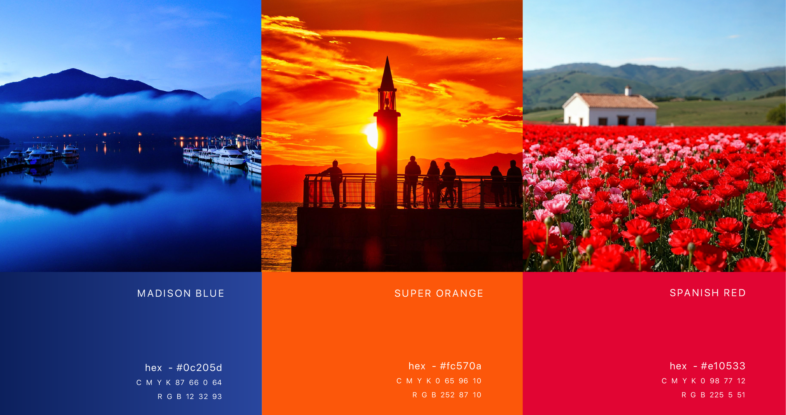 Oasis Travellers - Brand Refresh Project