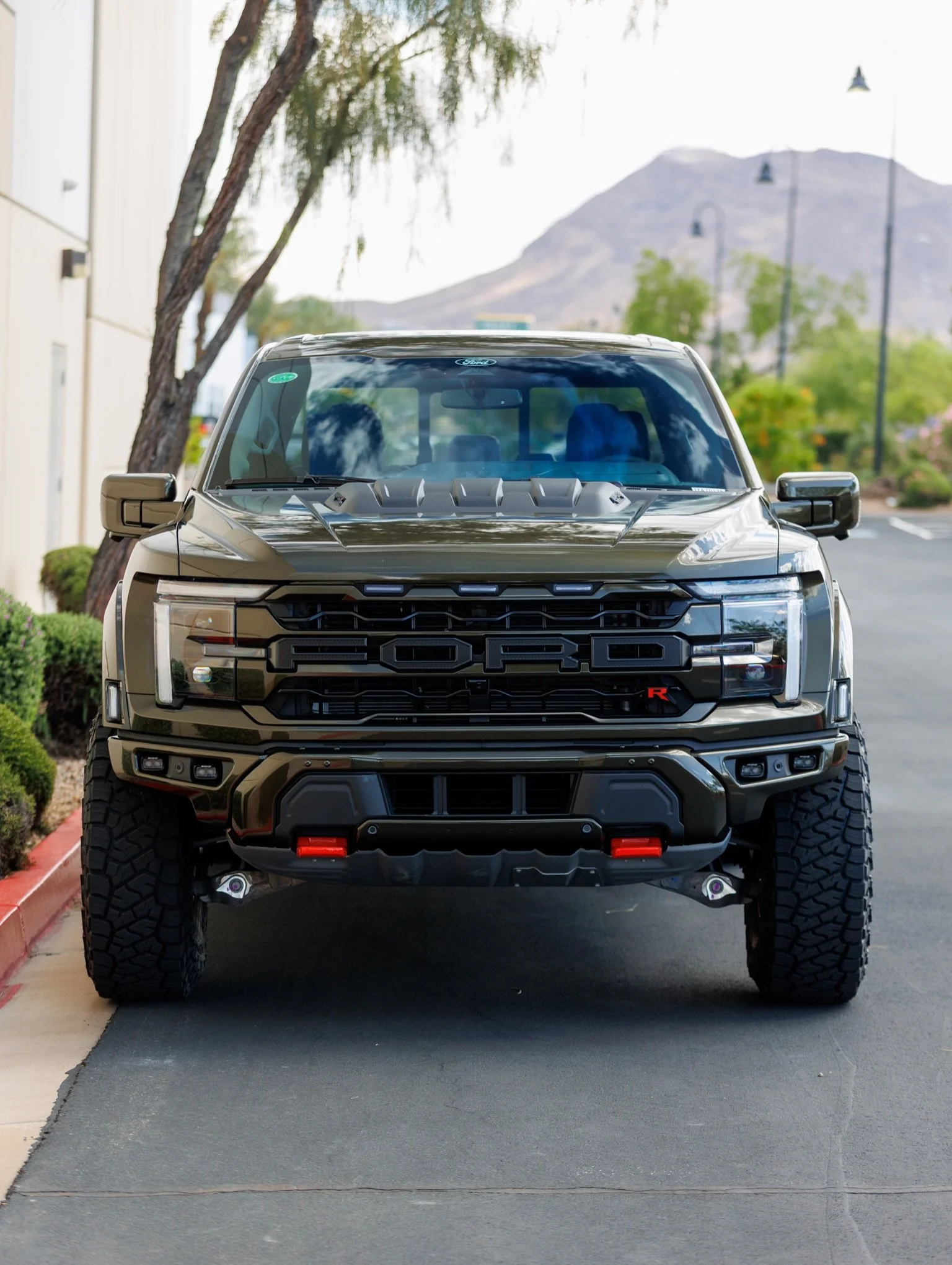 Shelter Green Raptor R with the goods😮&zwj;💨

Check it out📝⬇️

@eibach_world  Front Level Kit
37&rdquo; @toyotires RT 
17&rdquo; @vossen HFX-1&rsquo;s w/ Red Center Caps 
@realtruck AMP Powersteps 
@afepower Intake
@xpel Ceramic Window Tint 
Compl