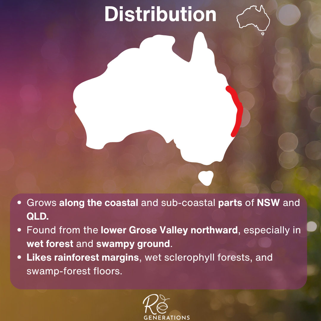 Distribution - Carex maculata.png