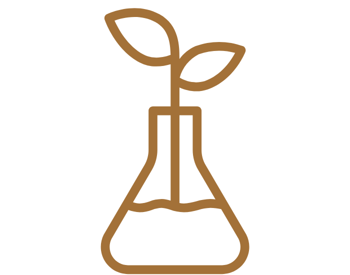 research icon.png