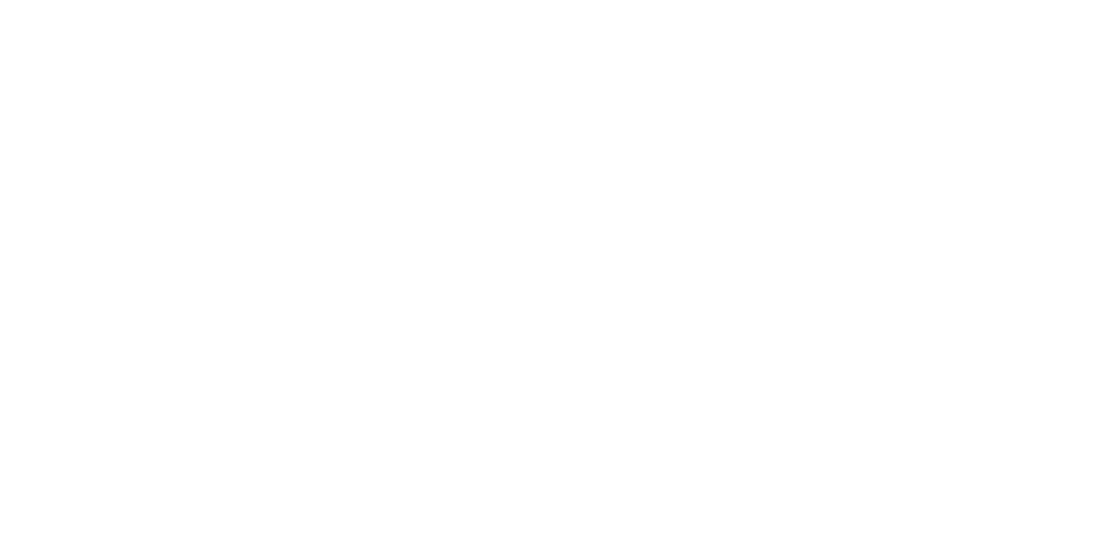 Holistic Organising Services