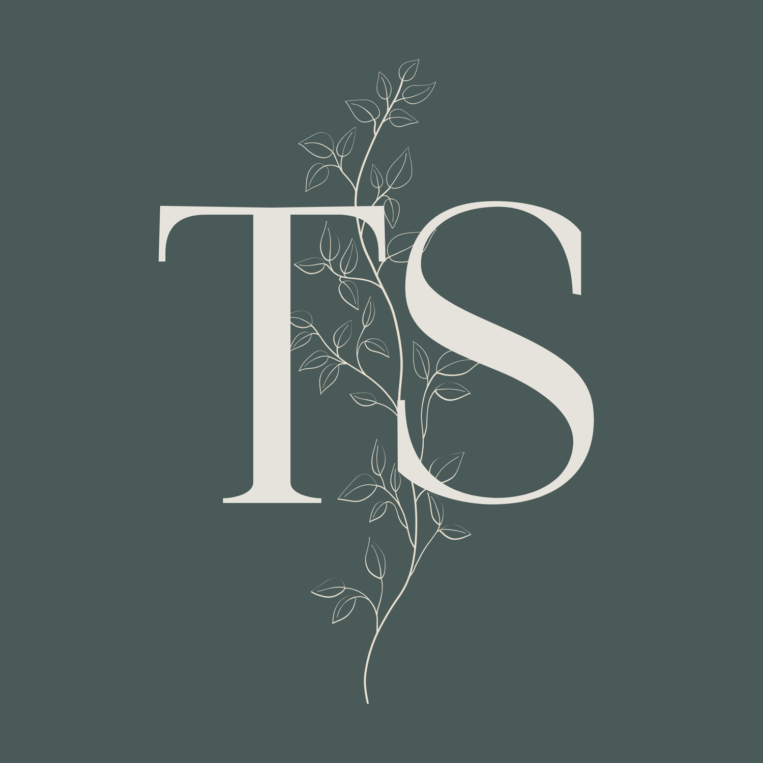 TS Home Organization 