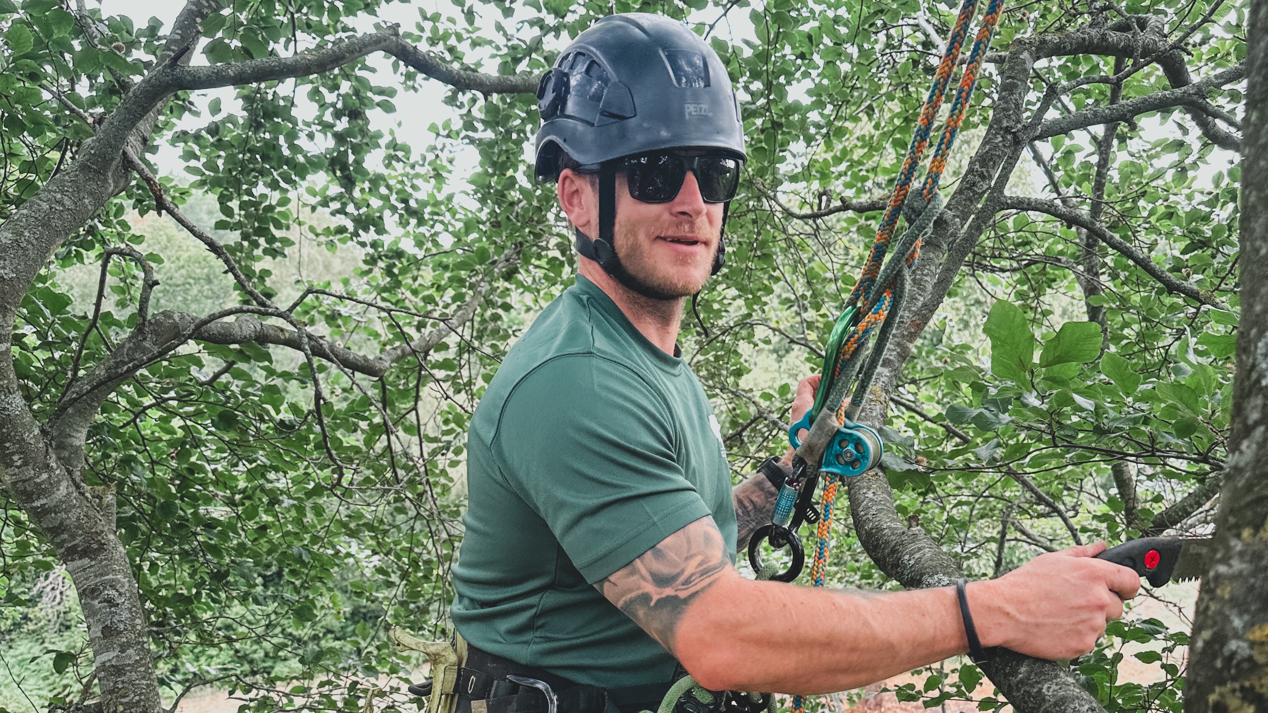 Tree surgeon working among branches