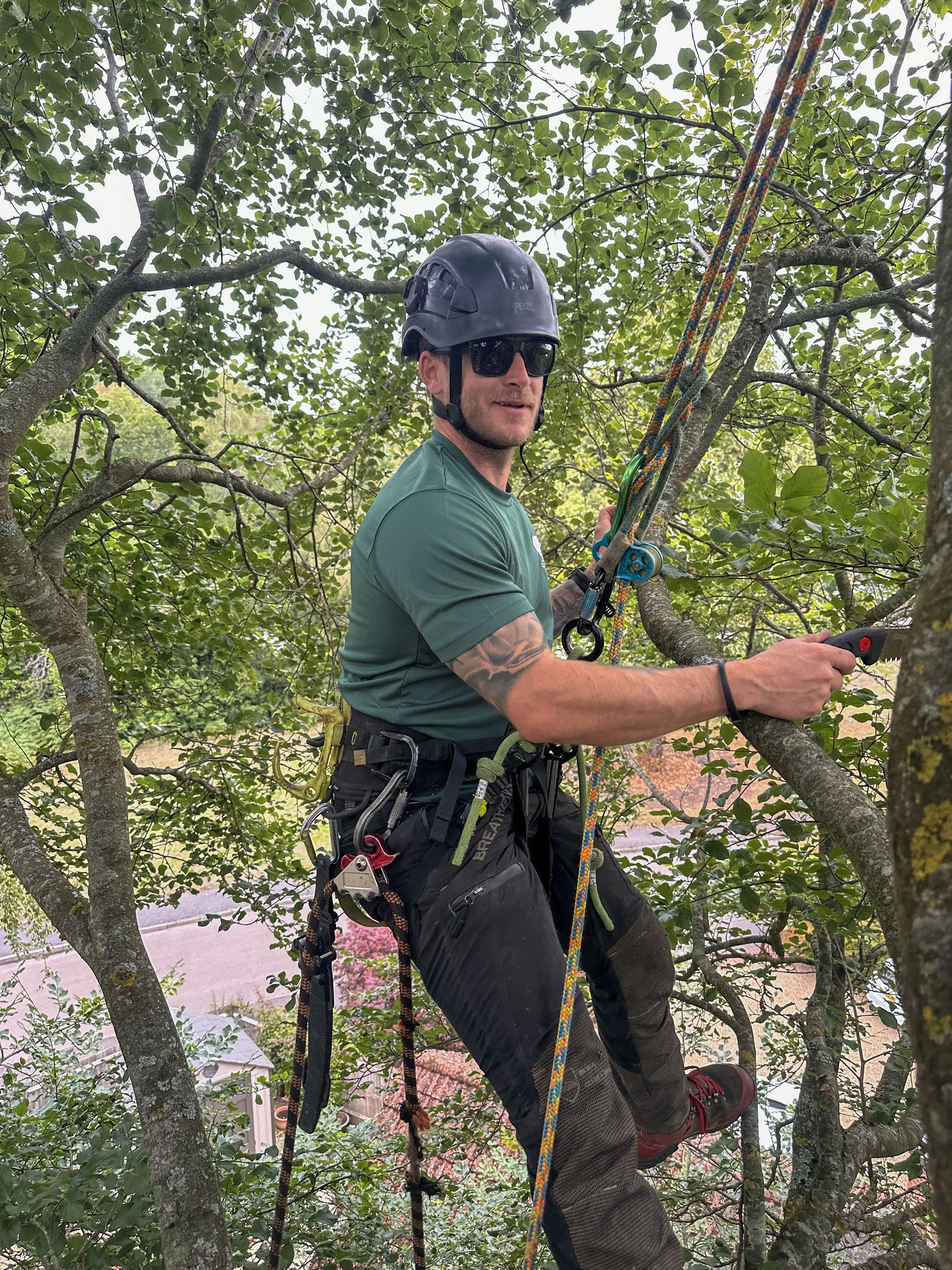 Tree surgeon working among branches