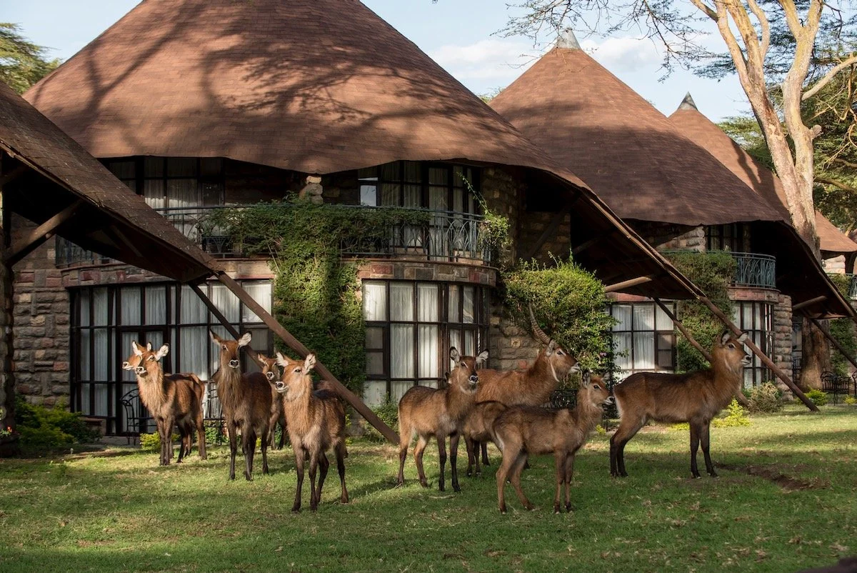Sopa Resort, Naivasha