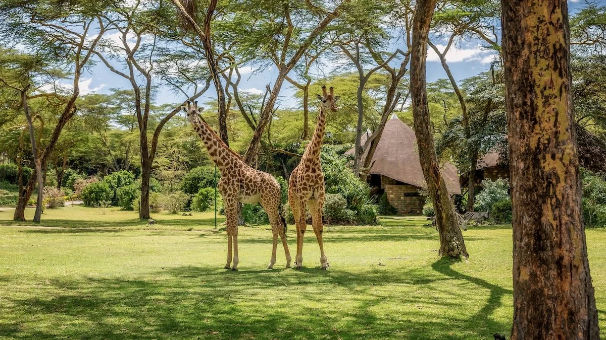 Sopa Resort, Naivasha