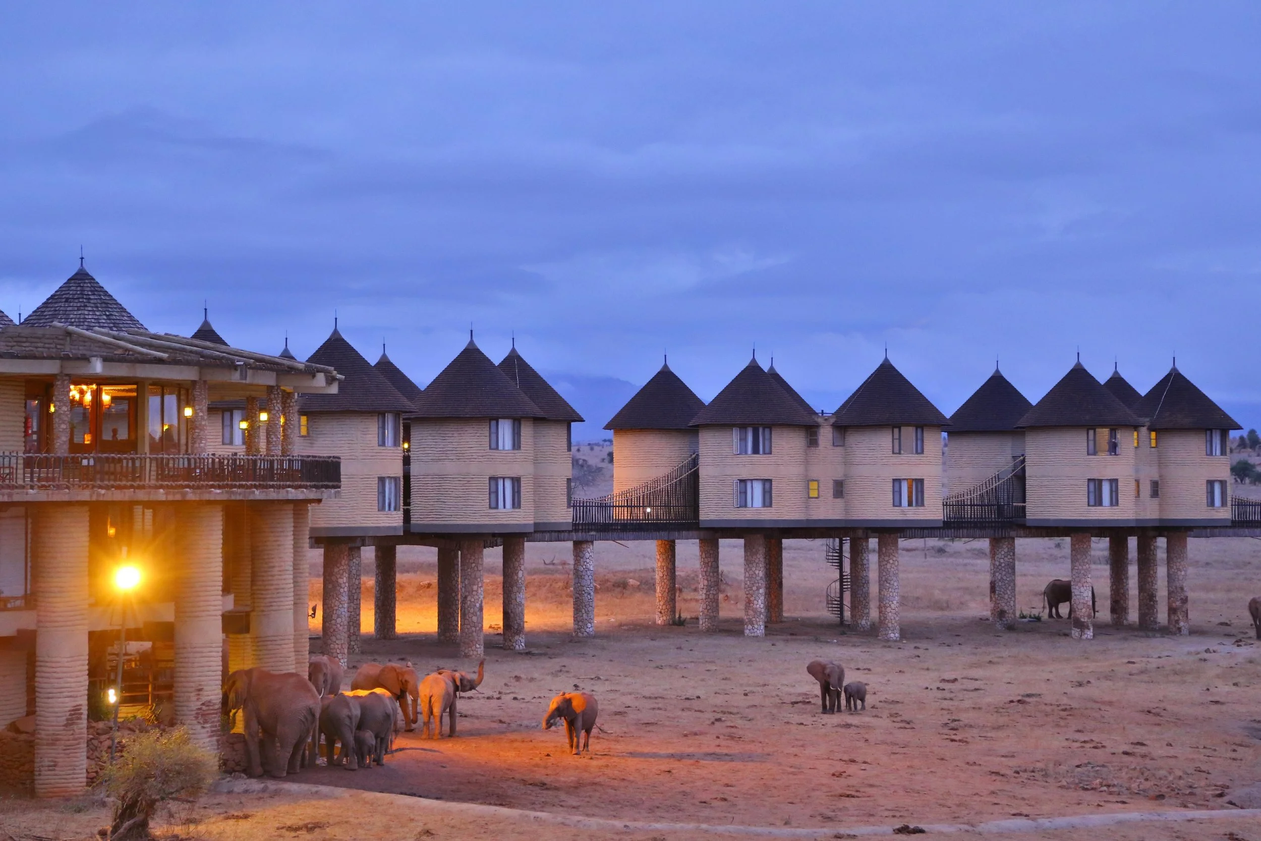 Salt Lick, Taita Hills