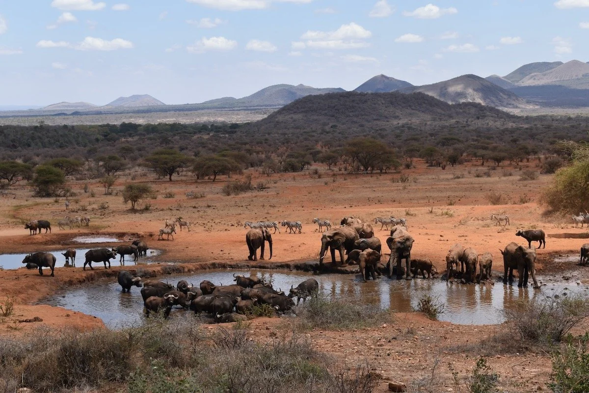 Kilaguni, Tsavo West