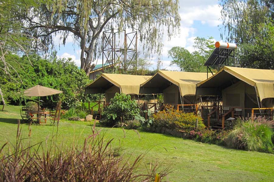 Wildebeest Eco Camp, Nairobi